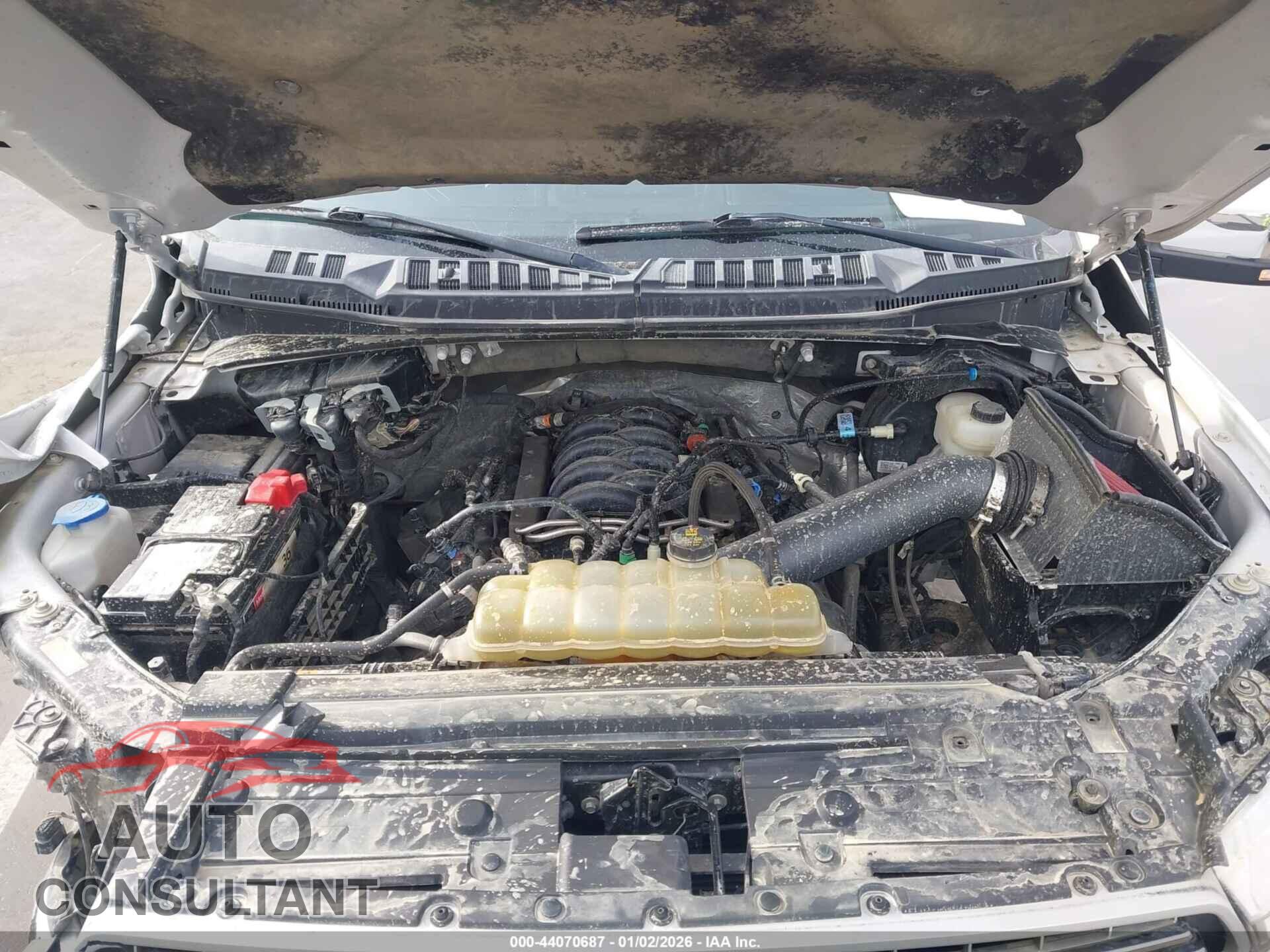 FORD F-150 2019 - 1FTEW1E50KFC77357
