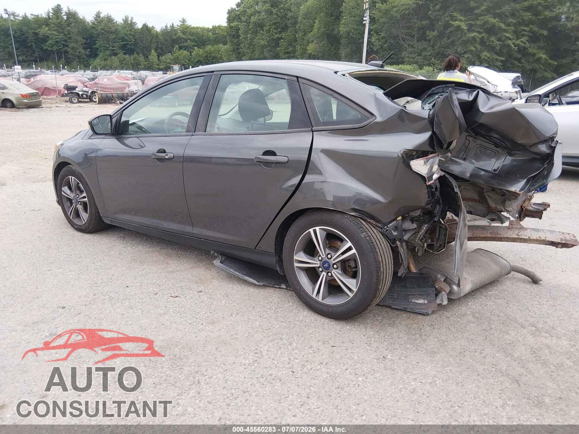 FORD FOCUS 2017 - 1FADP3FEXHL316099
