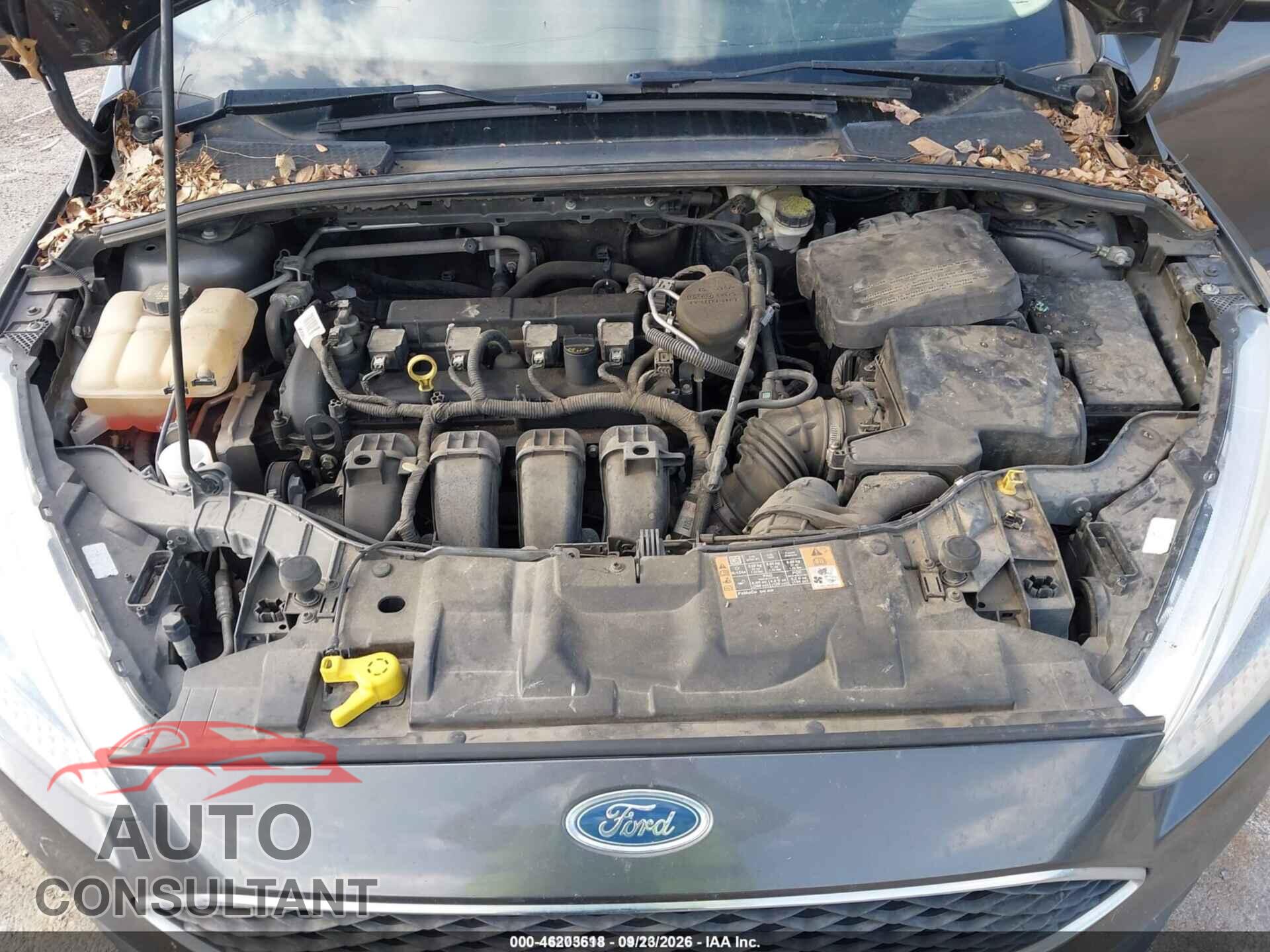 FORD FOCUS 2016 - 1FADP3F28GL202736