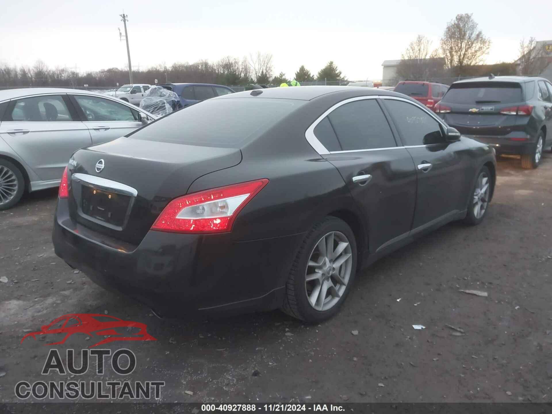 NISSAN MAXIMA 2011 - 1N4AA5AP6BC839572