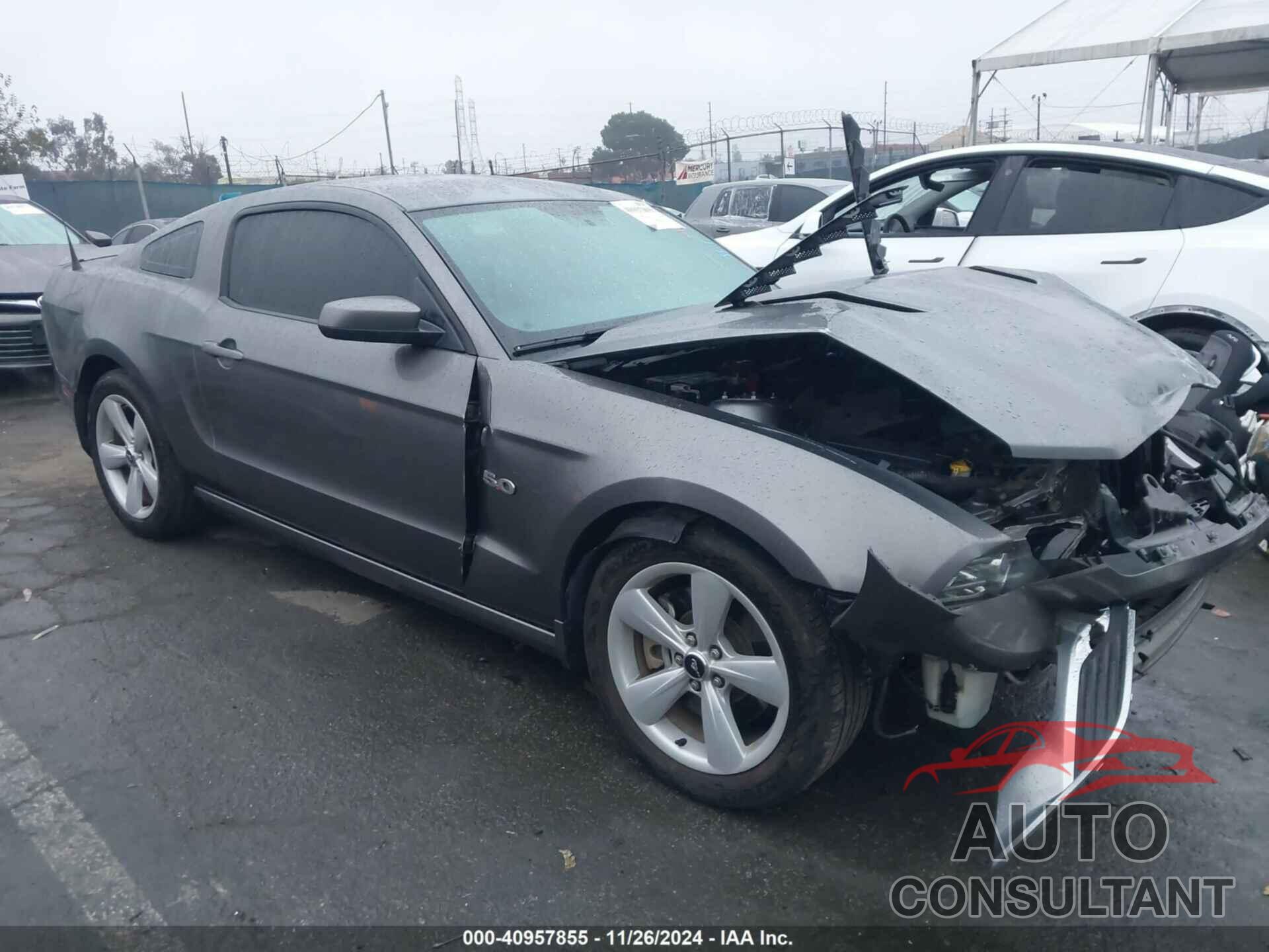 FORD MUSTANG 2014 - 1ZVBP8CF5E5310199