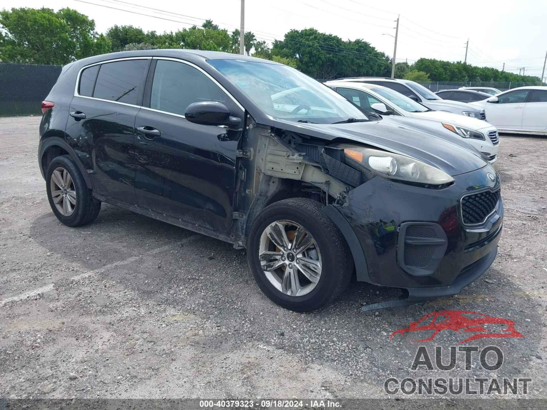 KIA SPORTAGE 2017 - KNDPM3AC7H7235396