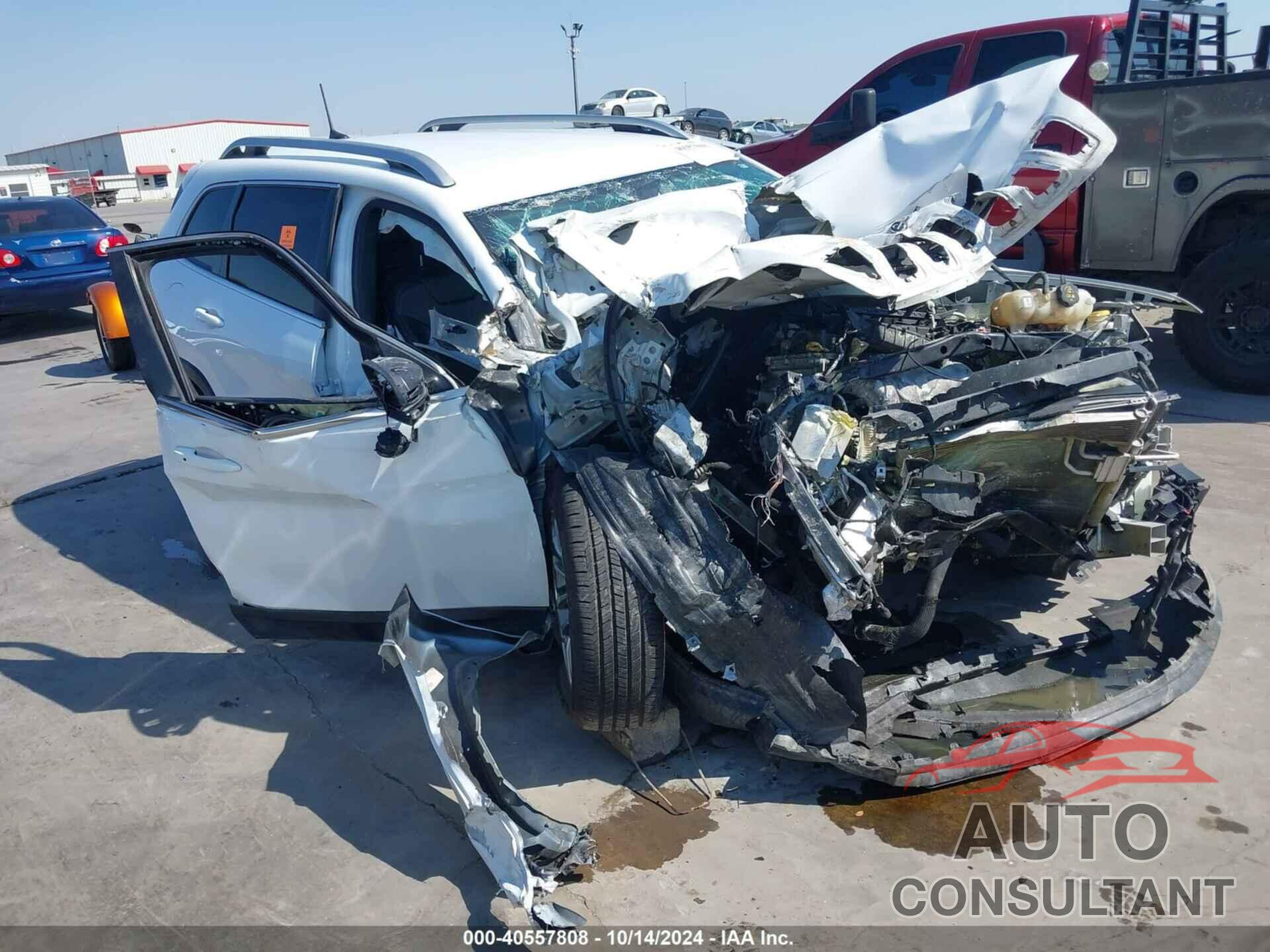 JEEP CHEROKEE 2019 - 1C4PJLLB0KD366594