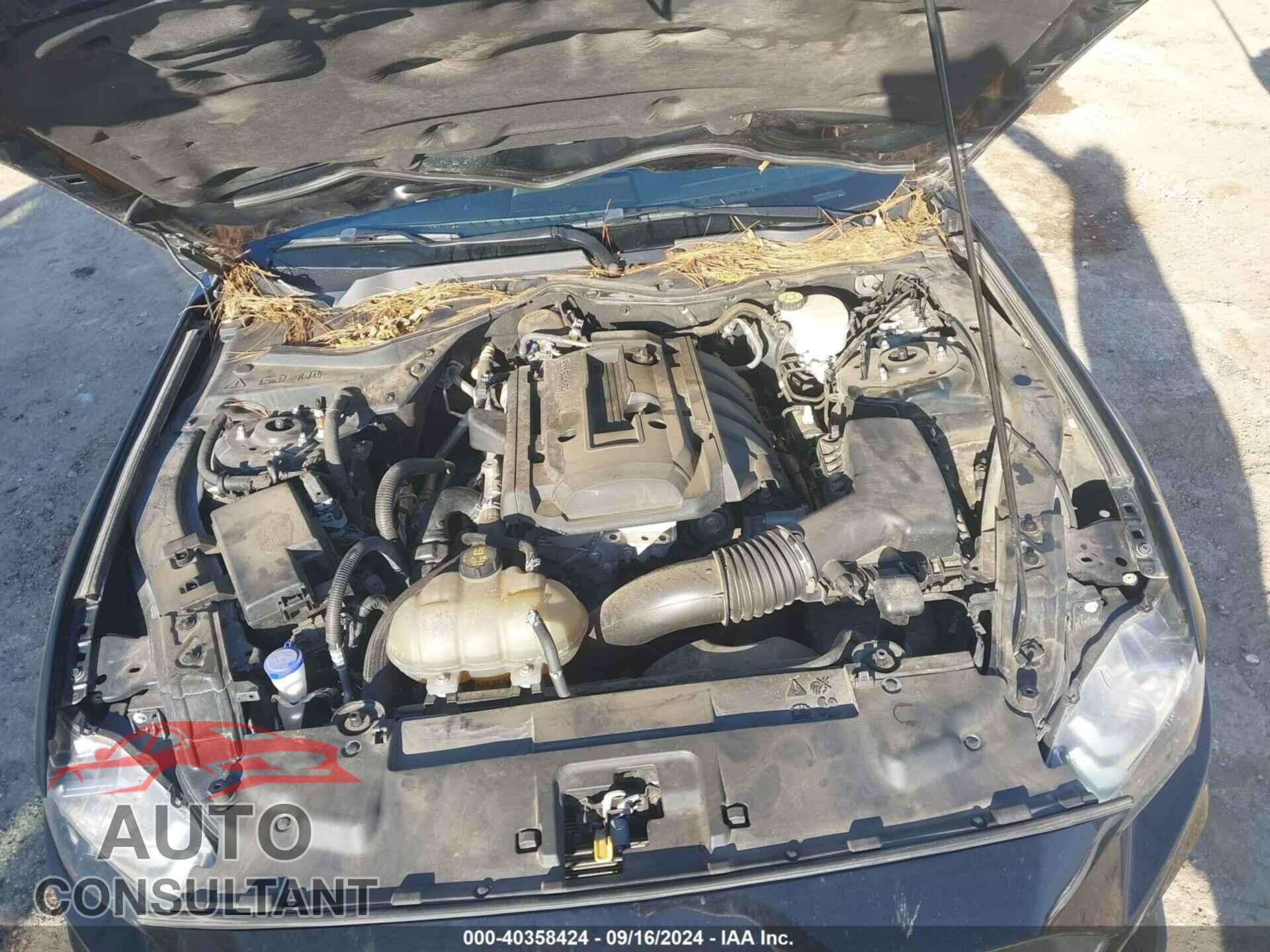 FORD MUSTANG 2020 - 1FA6P8TH7L5137214