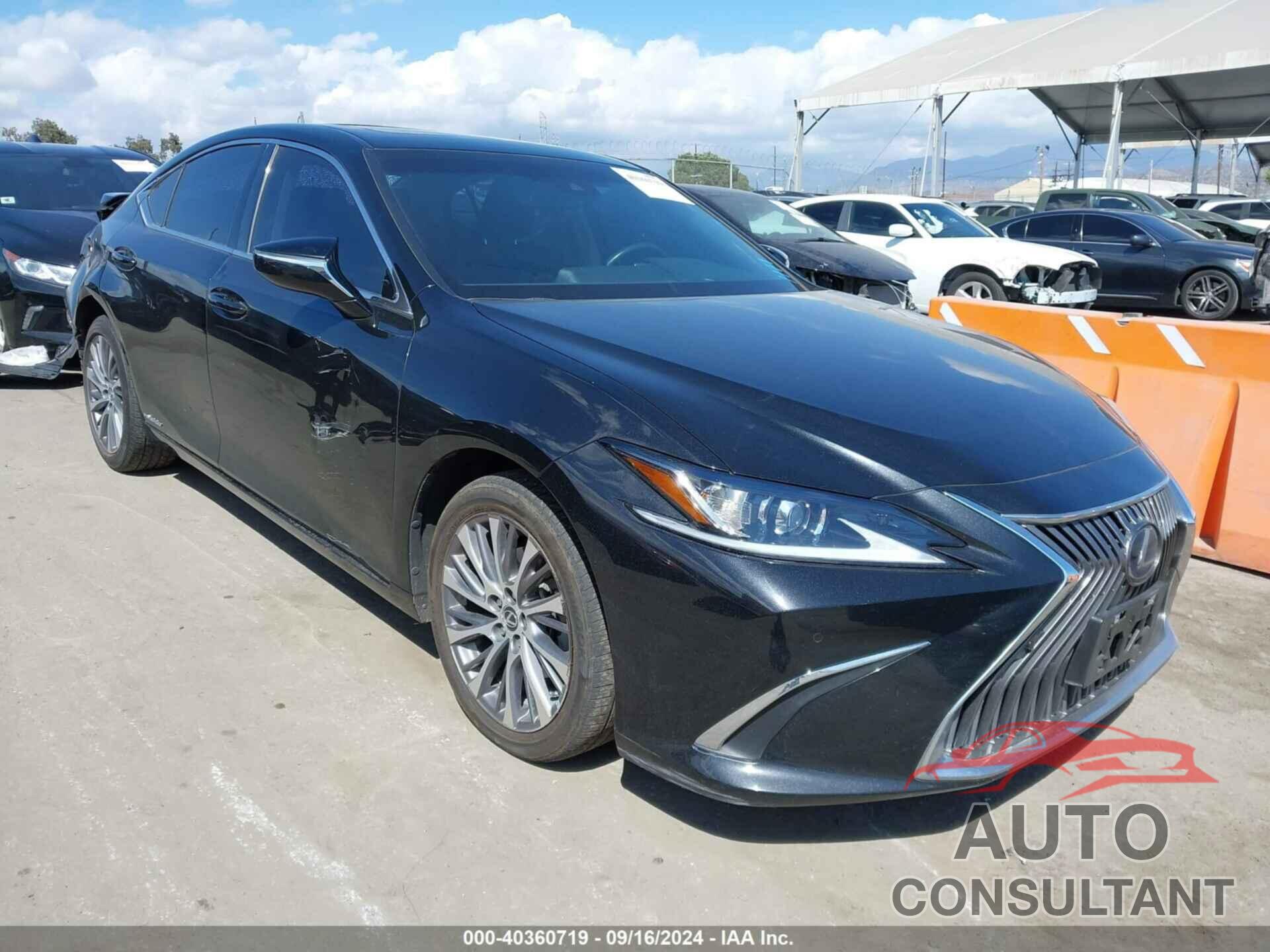 LEXUS ES 300H 2021 - 58ADA1C12MU009682