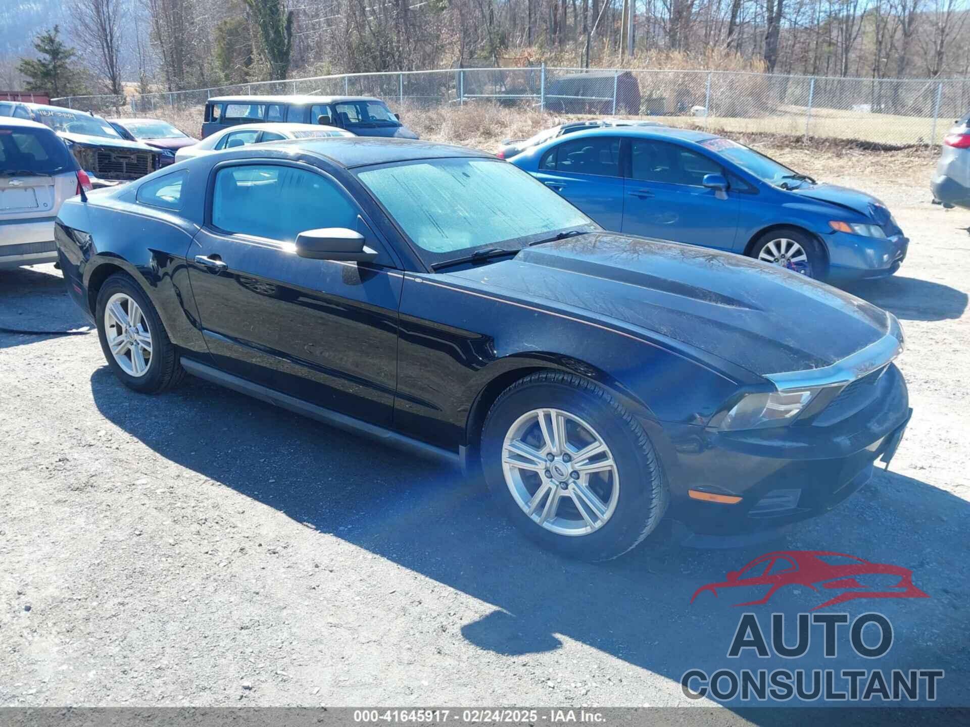 FORD MUSTANG 2011 - 1ZVBP8AM2B5153163