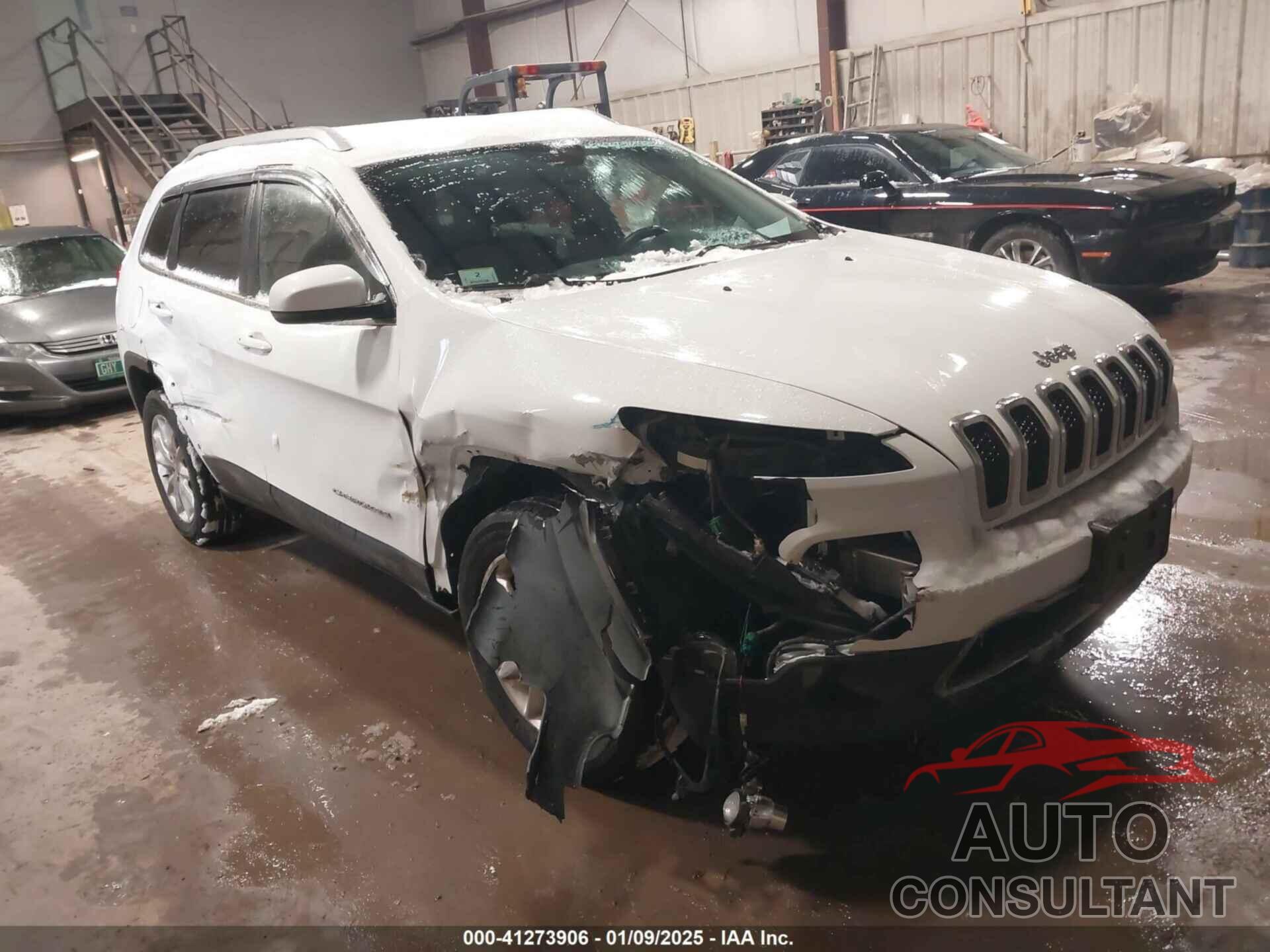 JEEP CHEROKEE 2016 - 1C4PJMDB5GW101573