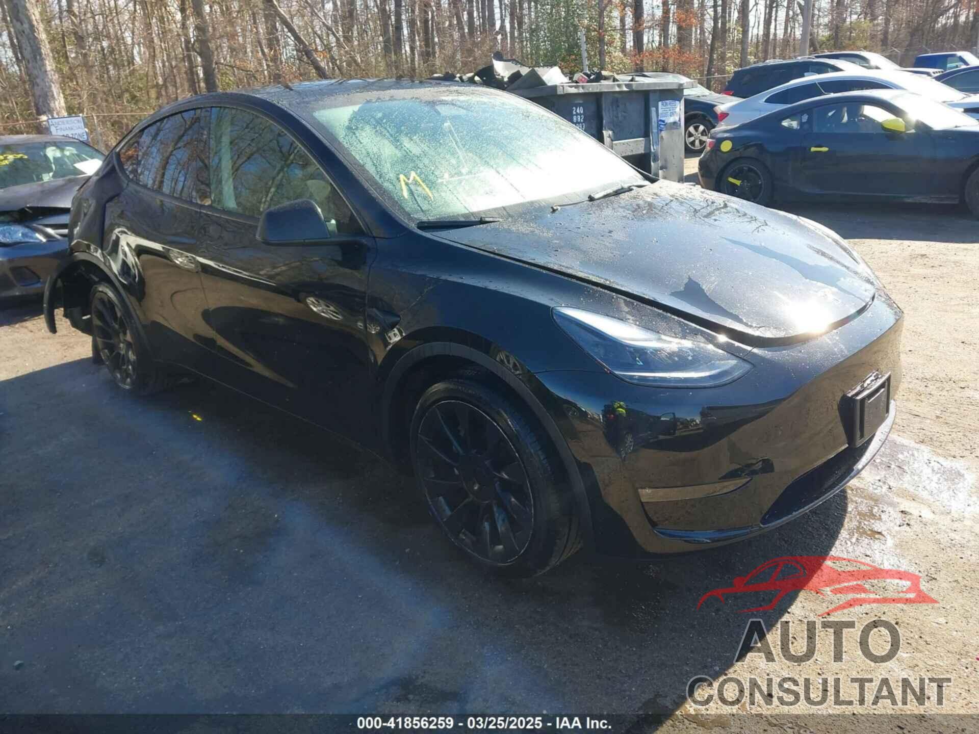 TESLA MODEL Y 2024 - 7SAYGDEE2RA219213