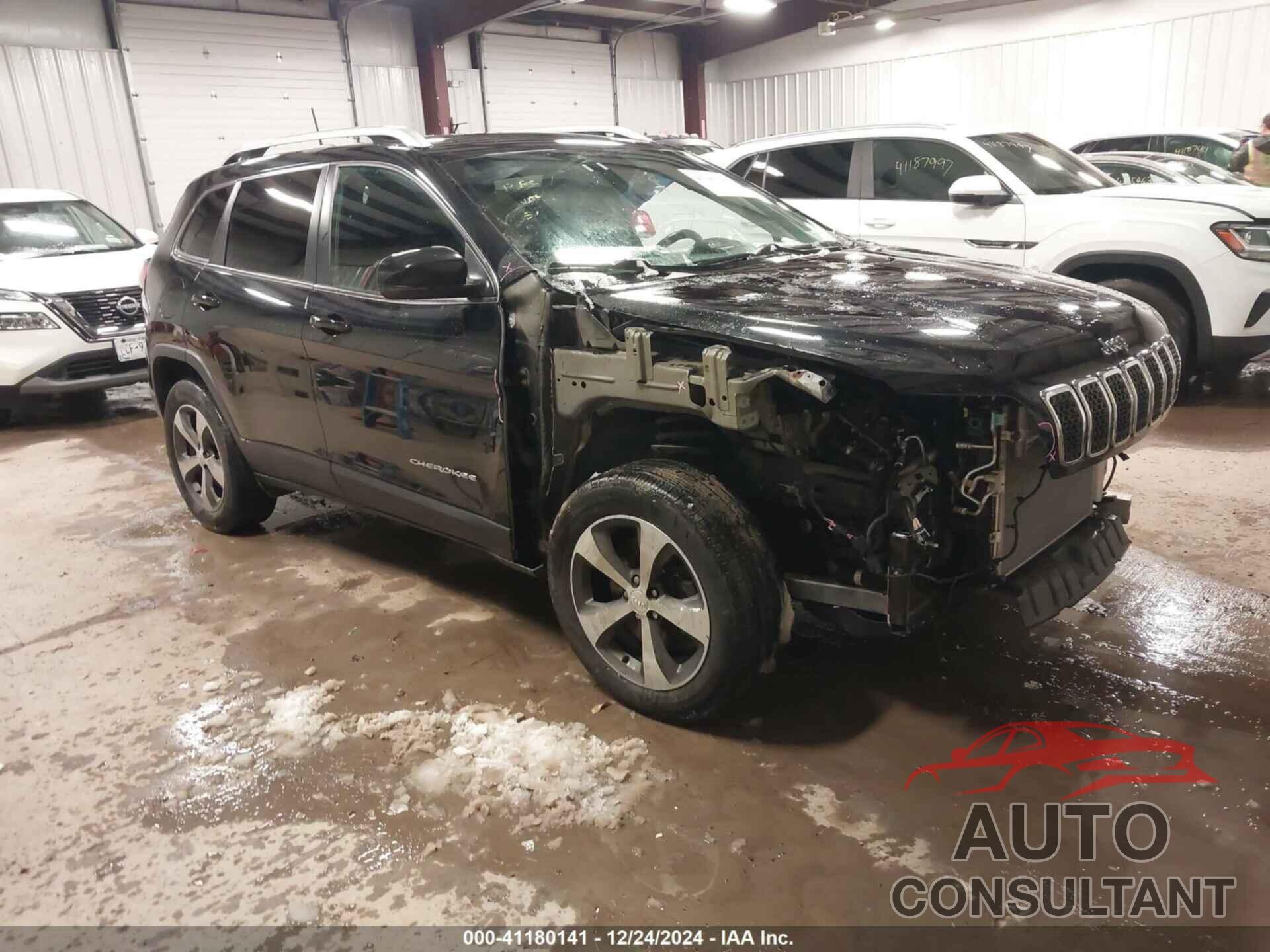 JEEP CHEROKEE 2019 - 1C4PJMDX8KD458651