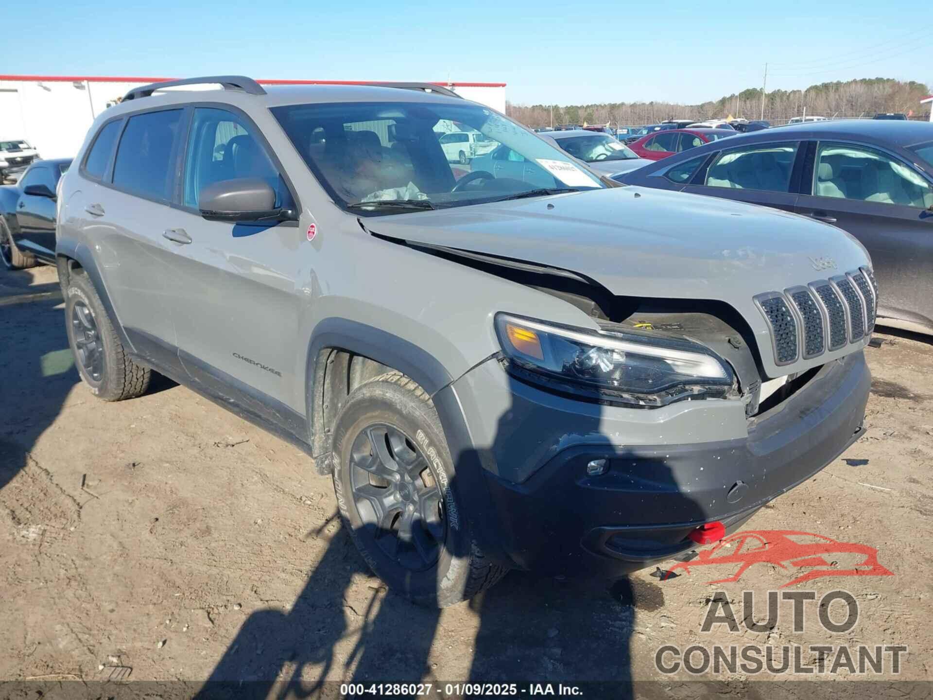 JEEP CHEROKEE 2019 - 1C4PJMBX1KD401792