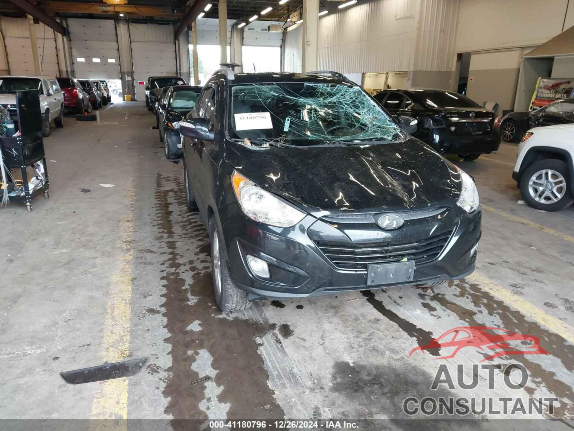 HYUNDAI TUCSON 2013 - KM8JUCAC2DU711065