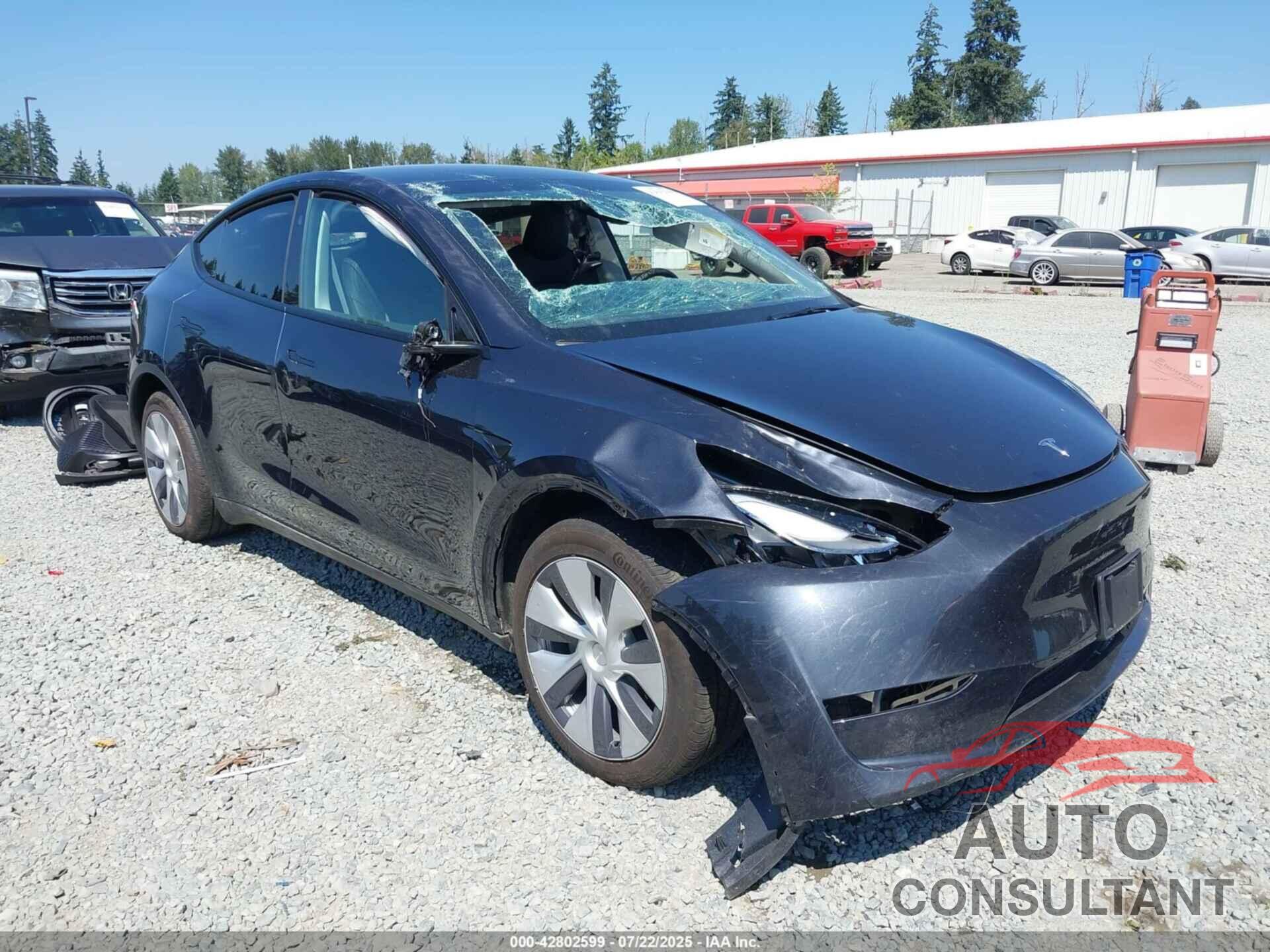 TESLA MODEL Y 2024 - 7SAYGDEE2RF075343