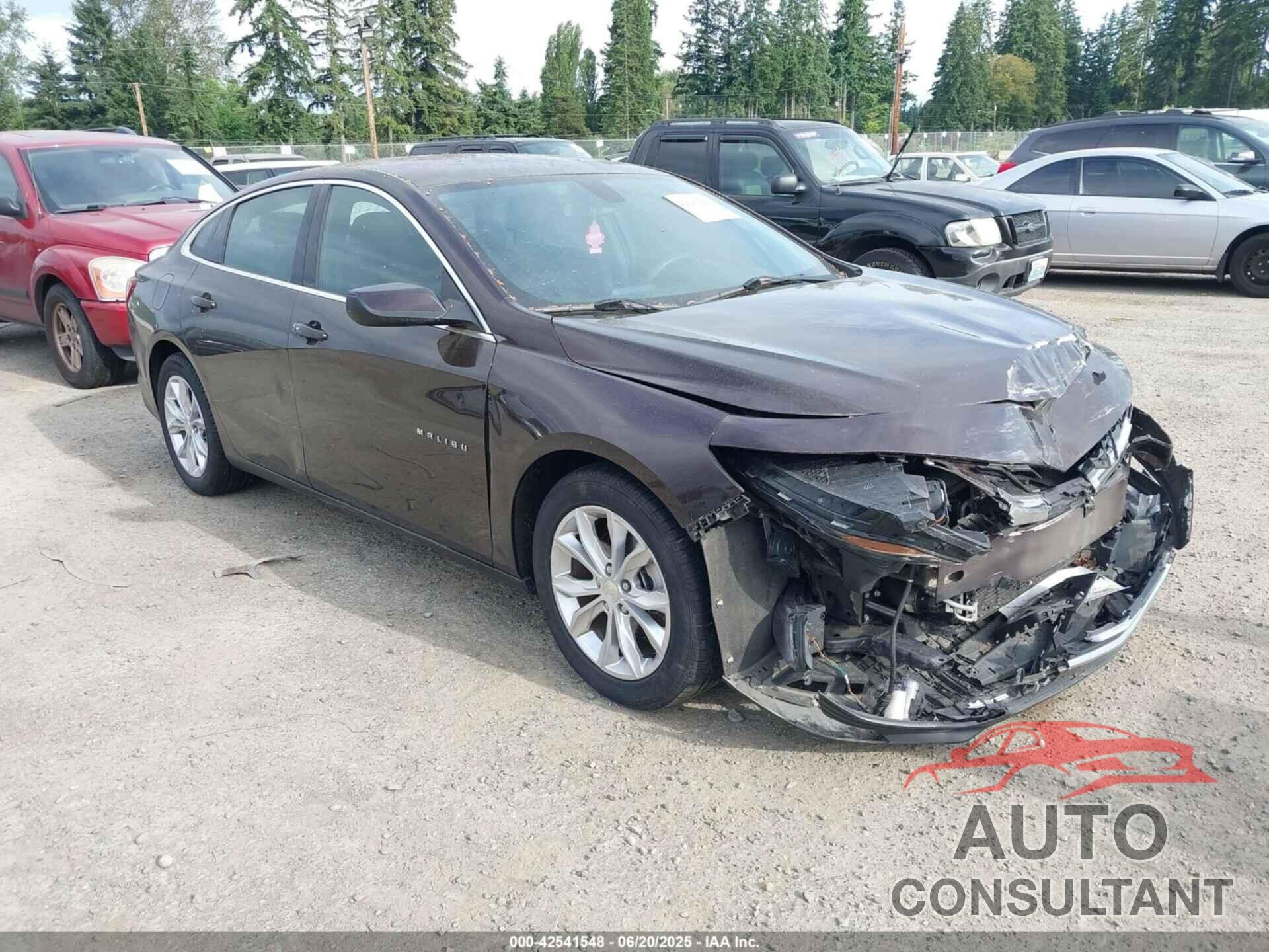 CHEVROLET MALIBU 2020 - 1G1ZD5ST4LF072829