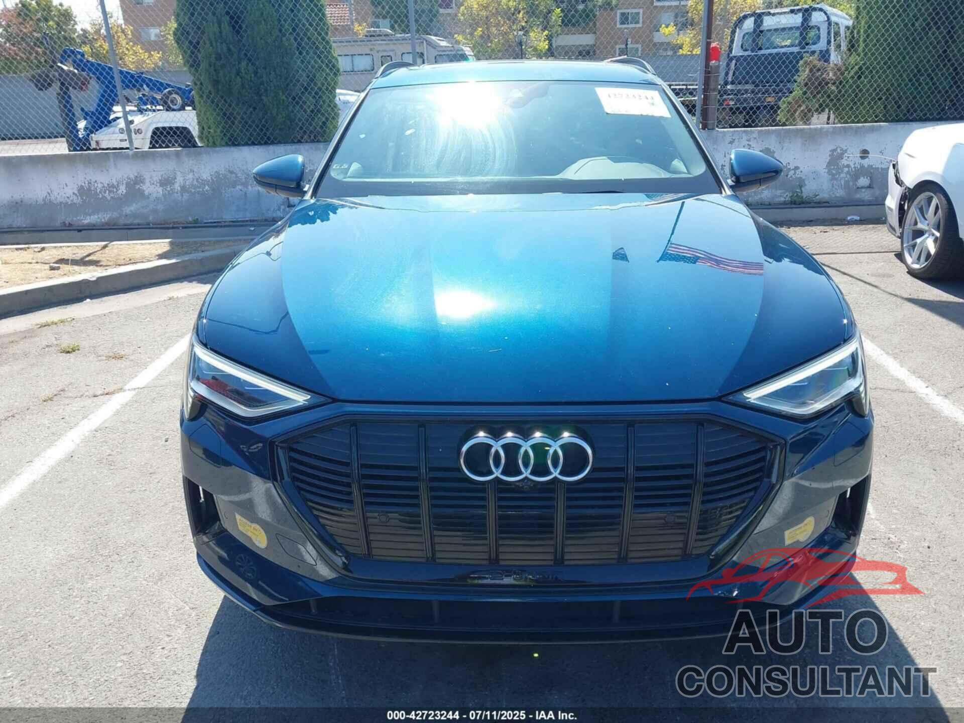 AUDI E-TRON 2022 - WA1LAAGE1NB008616