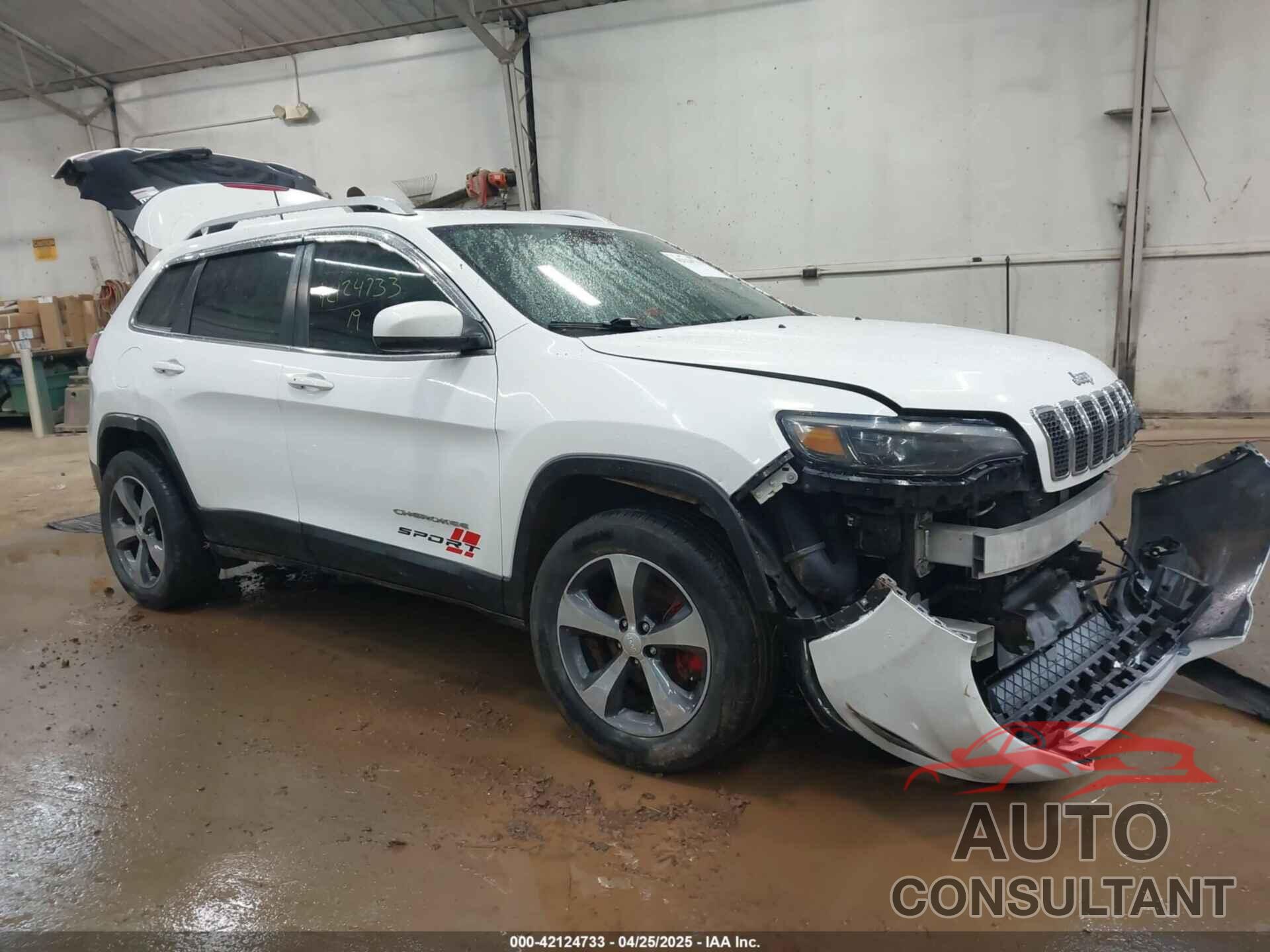 JEEP CHEROKEE 2019 - 1C4PJMDN9KD169616
