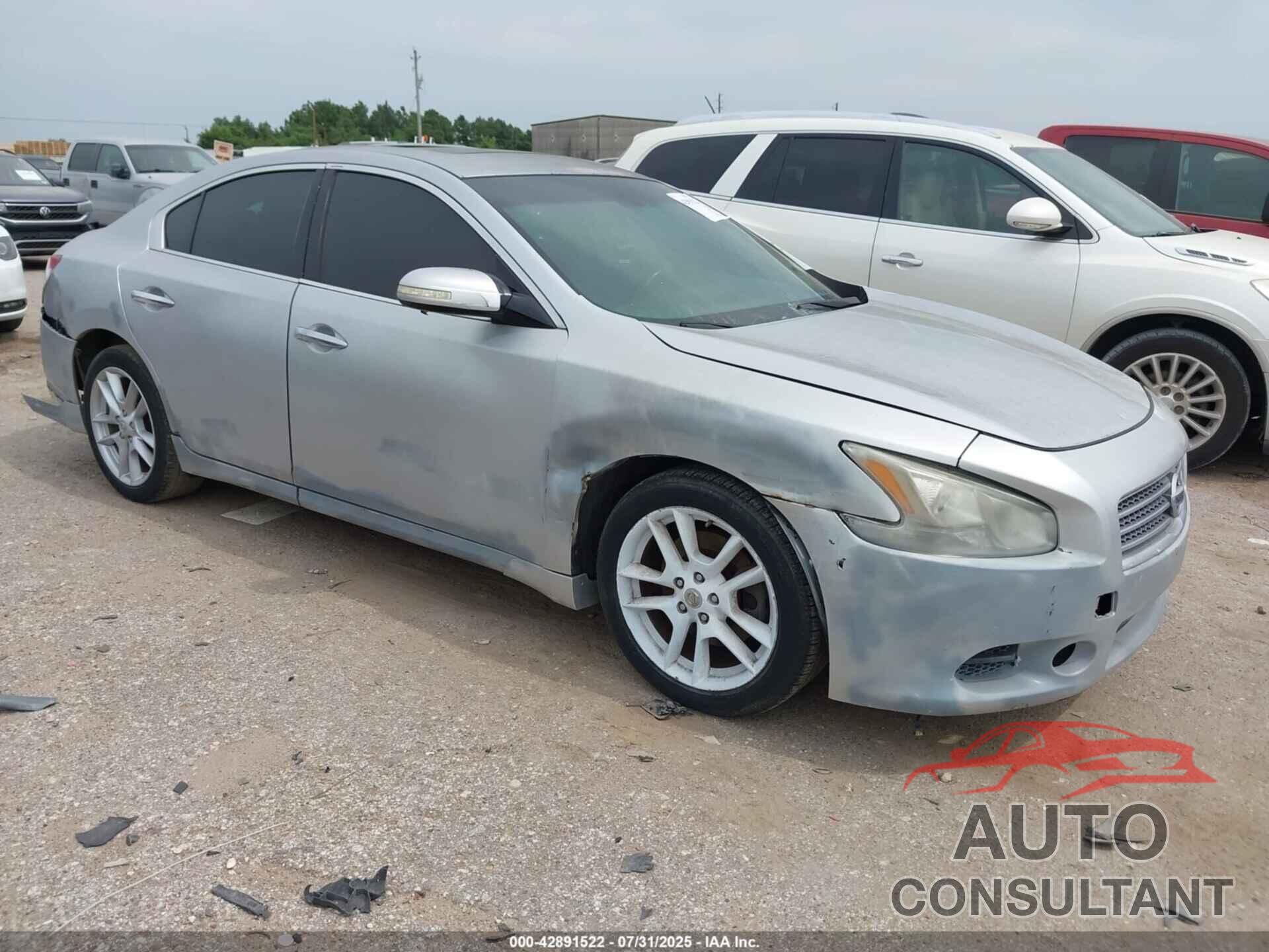 NISSAN MAXIMA 2009 - 1N4AA51E89C811250