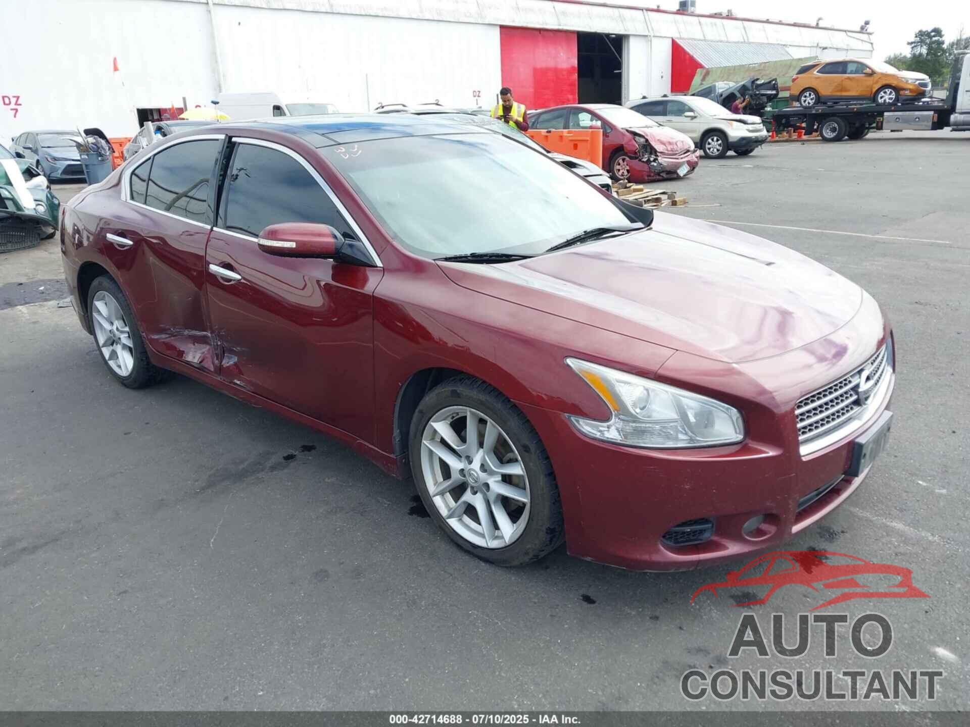 NISSAN MAXIMA 2009 - 1N4AA51E29C842056