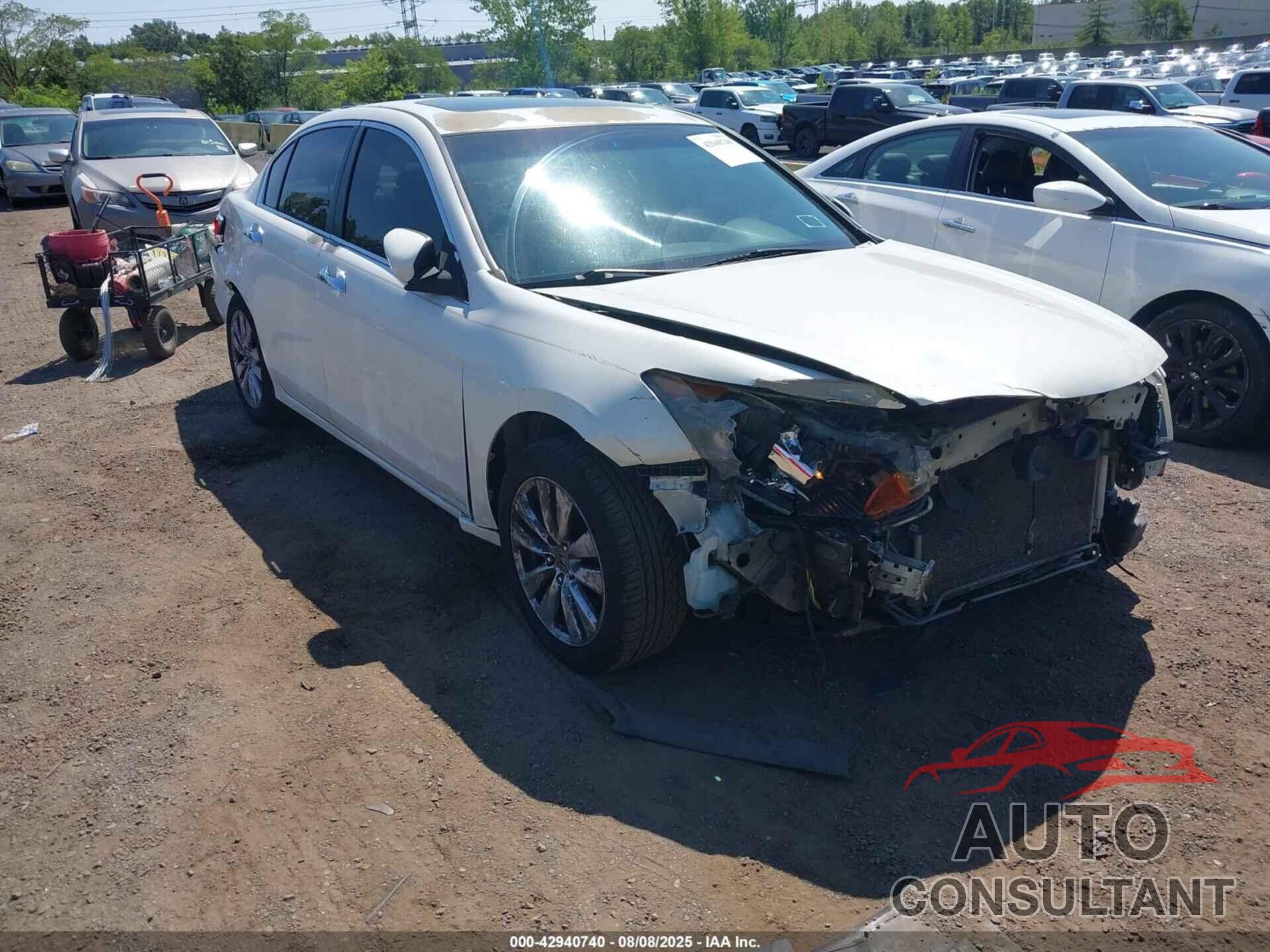 HONDA ACCORD 2011 - 5KBCP3F85BB004445