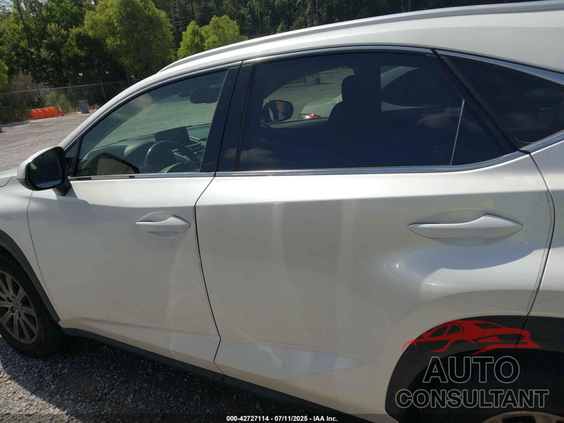 LEXUS NX 300 2019 - JTJYARBZ2K2156304