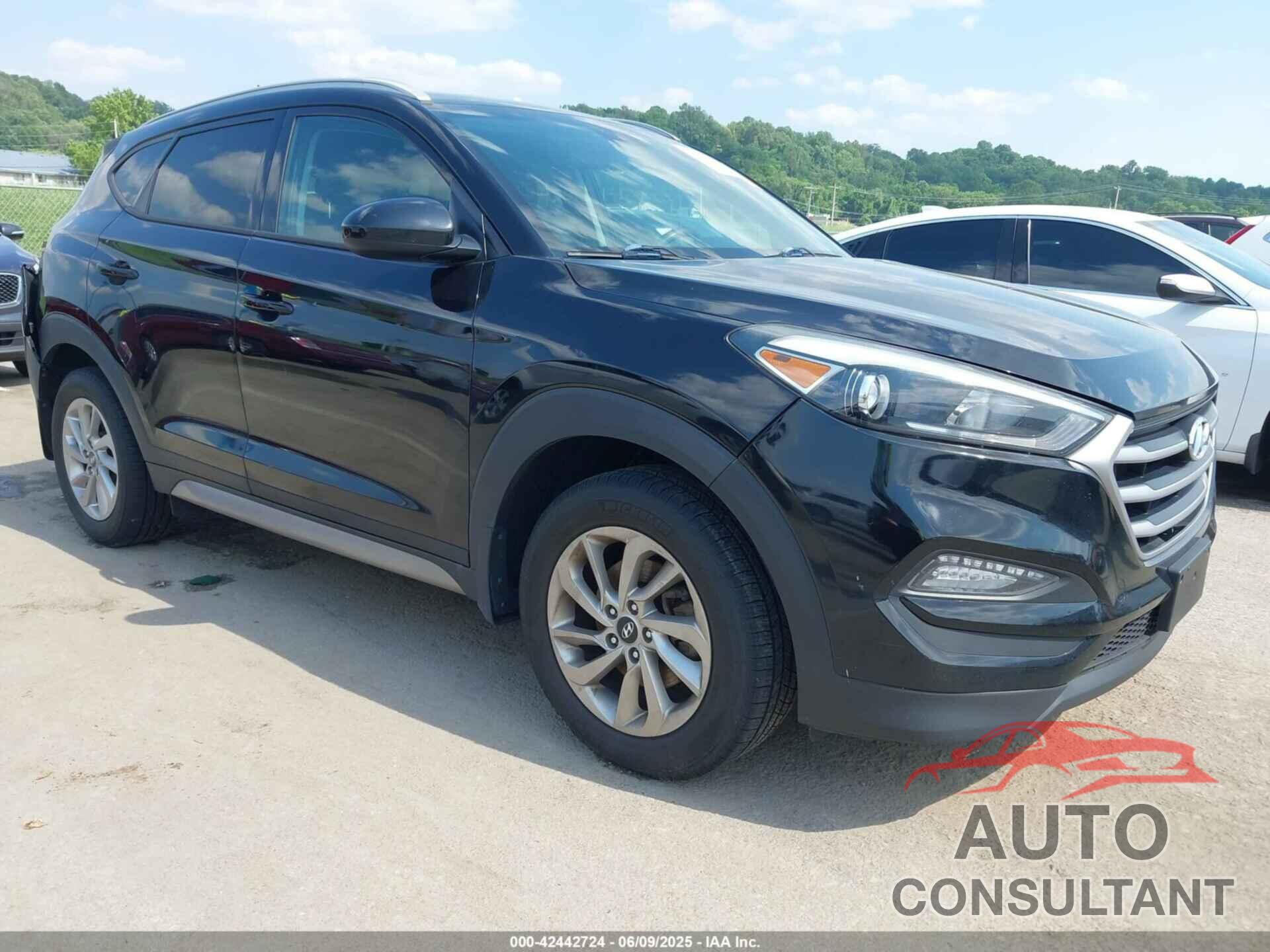 HYUNDAI TUCSON 2017 - KM8J3CA43HU367361