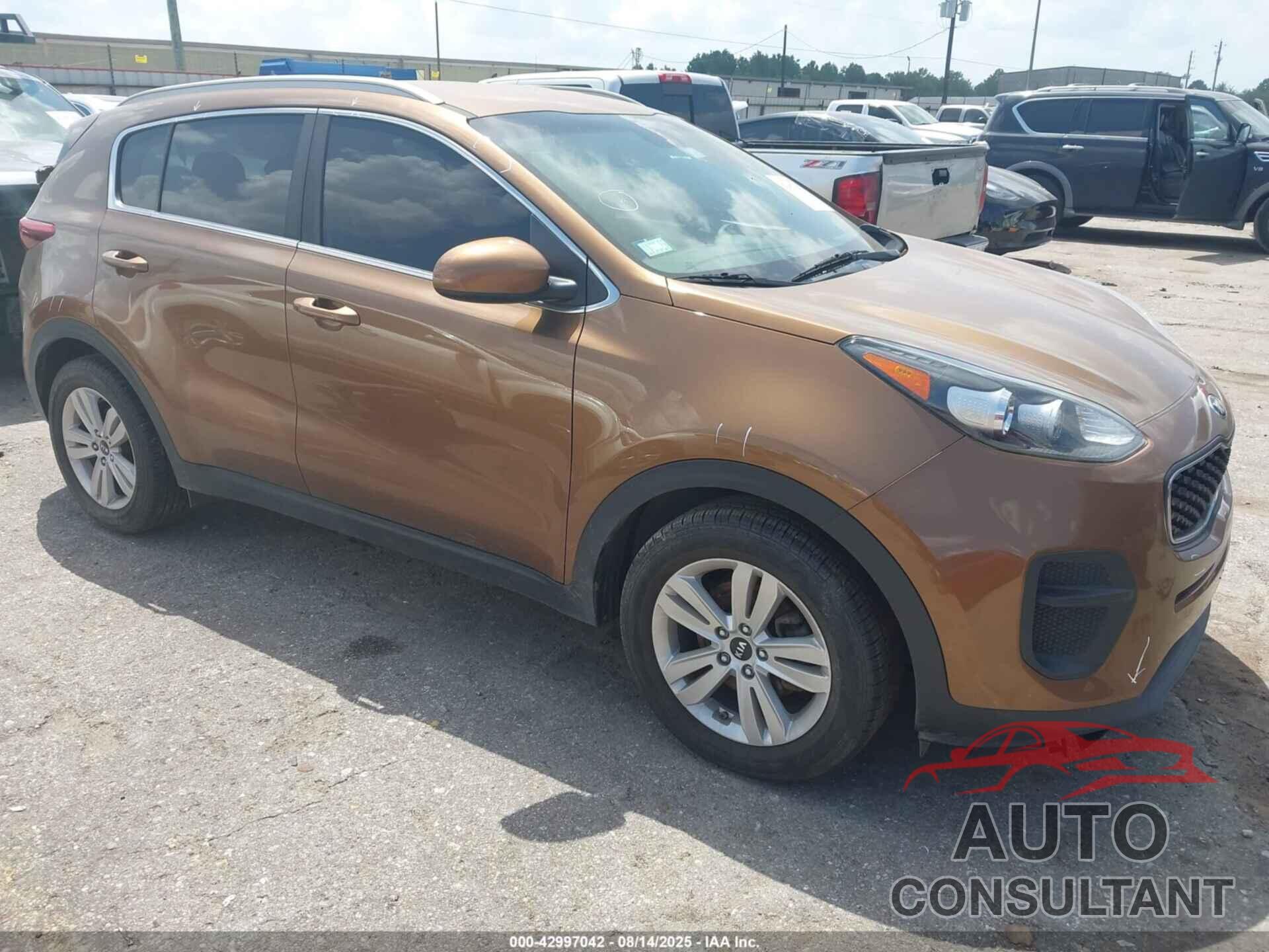 KIA SPORTAGE 2017 - KNDPM3AC2H7174863