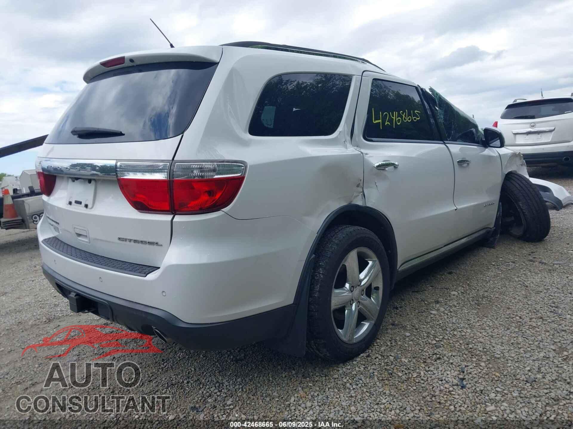 DODGE DURANGO 2013 - 1C4RDJEGXDC559700