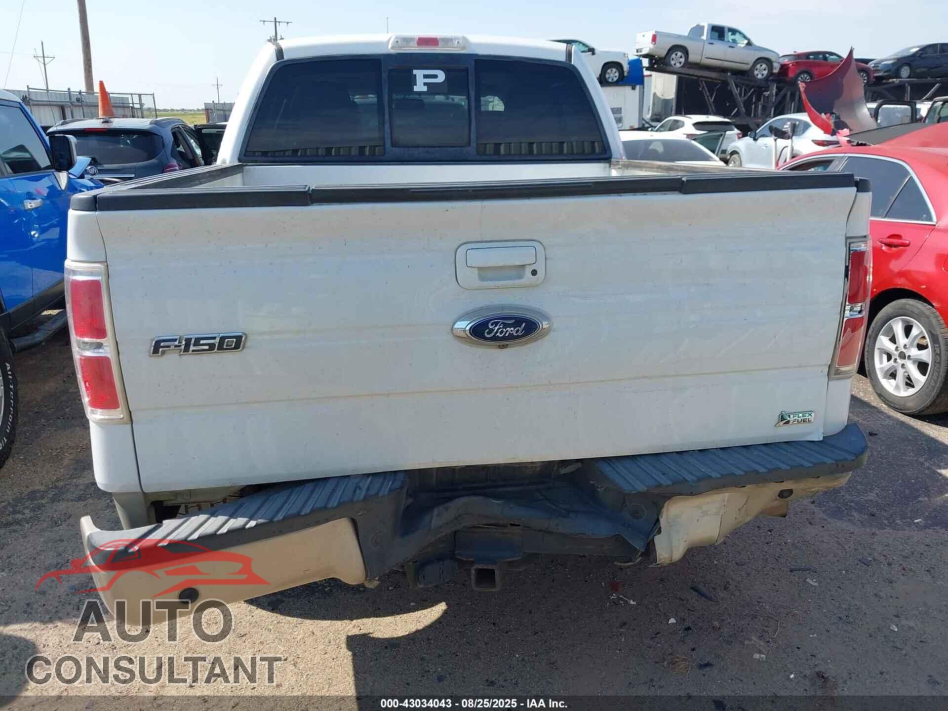 FORD F-150 2010 - 1FTFW1CV5AFD18054