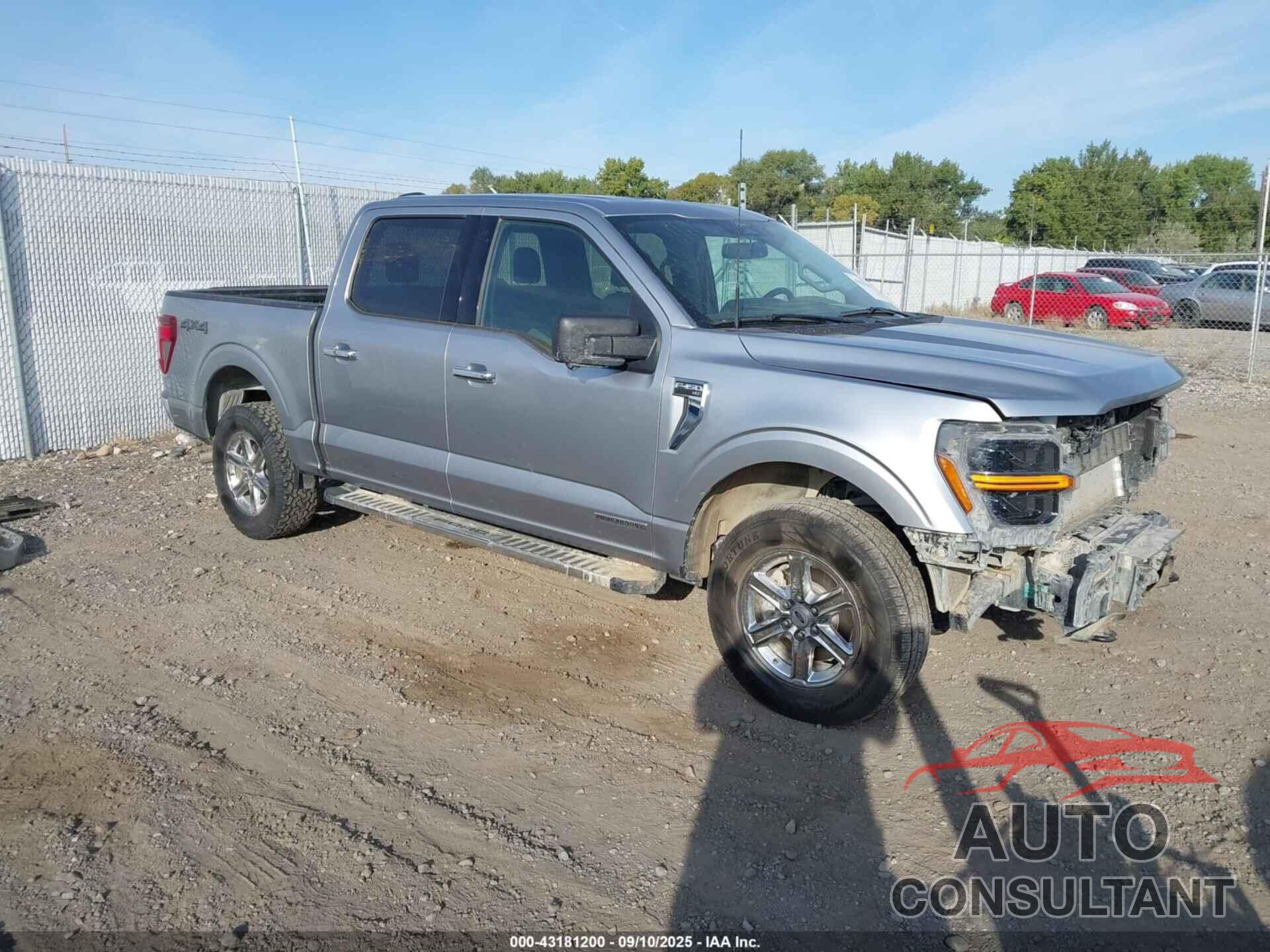 FORD F-150 2024 - 1FTFW3LD4RFA73343
