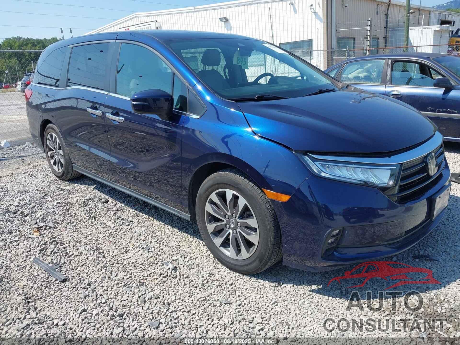 HONDA ODYSSEY 2021 - 5FNRL6H72MB043037