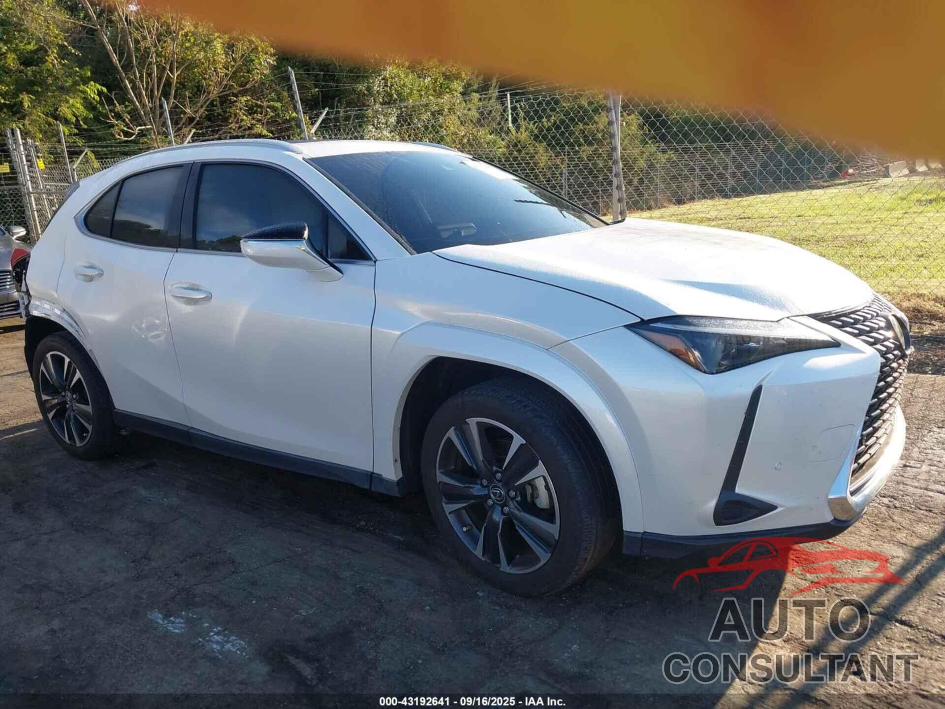 LEXUS UX 250H 2023 - JTHP6JBH0P2132596