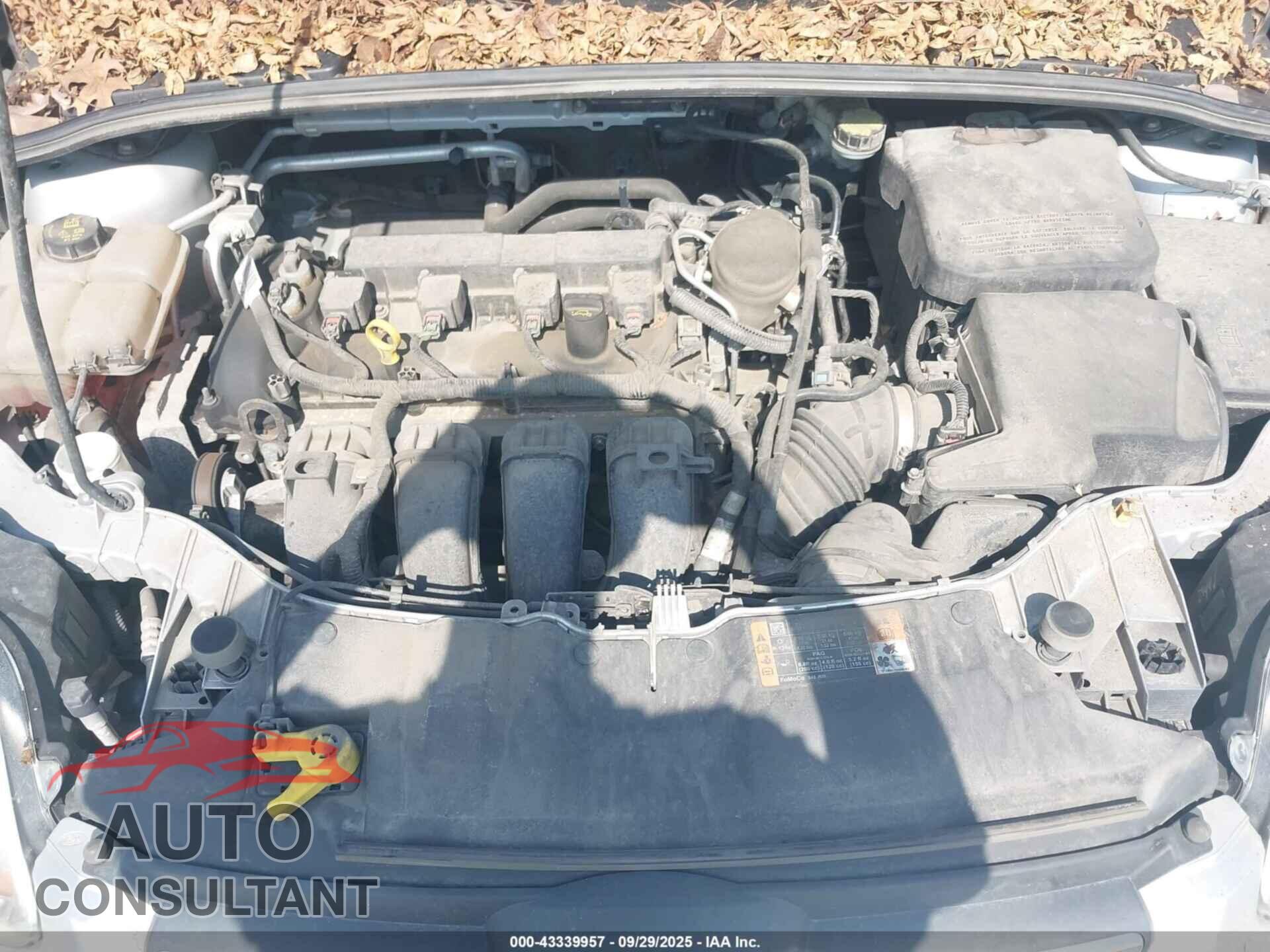 FORD FOCUS 2014 - 1FADP3F24EL389499
