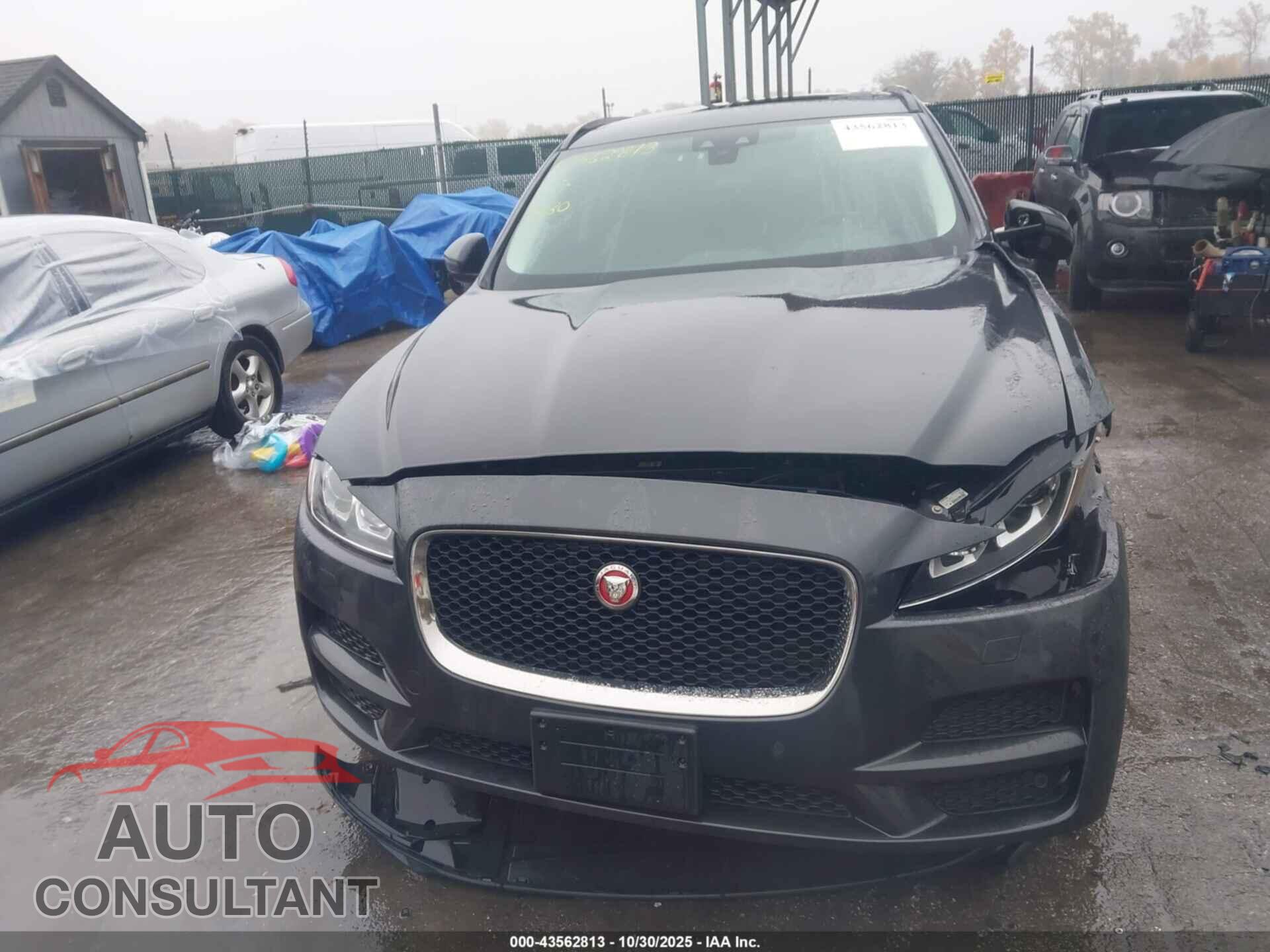 JAGUAR F-PACE 2017 - SADCJ2BV8HA893544