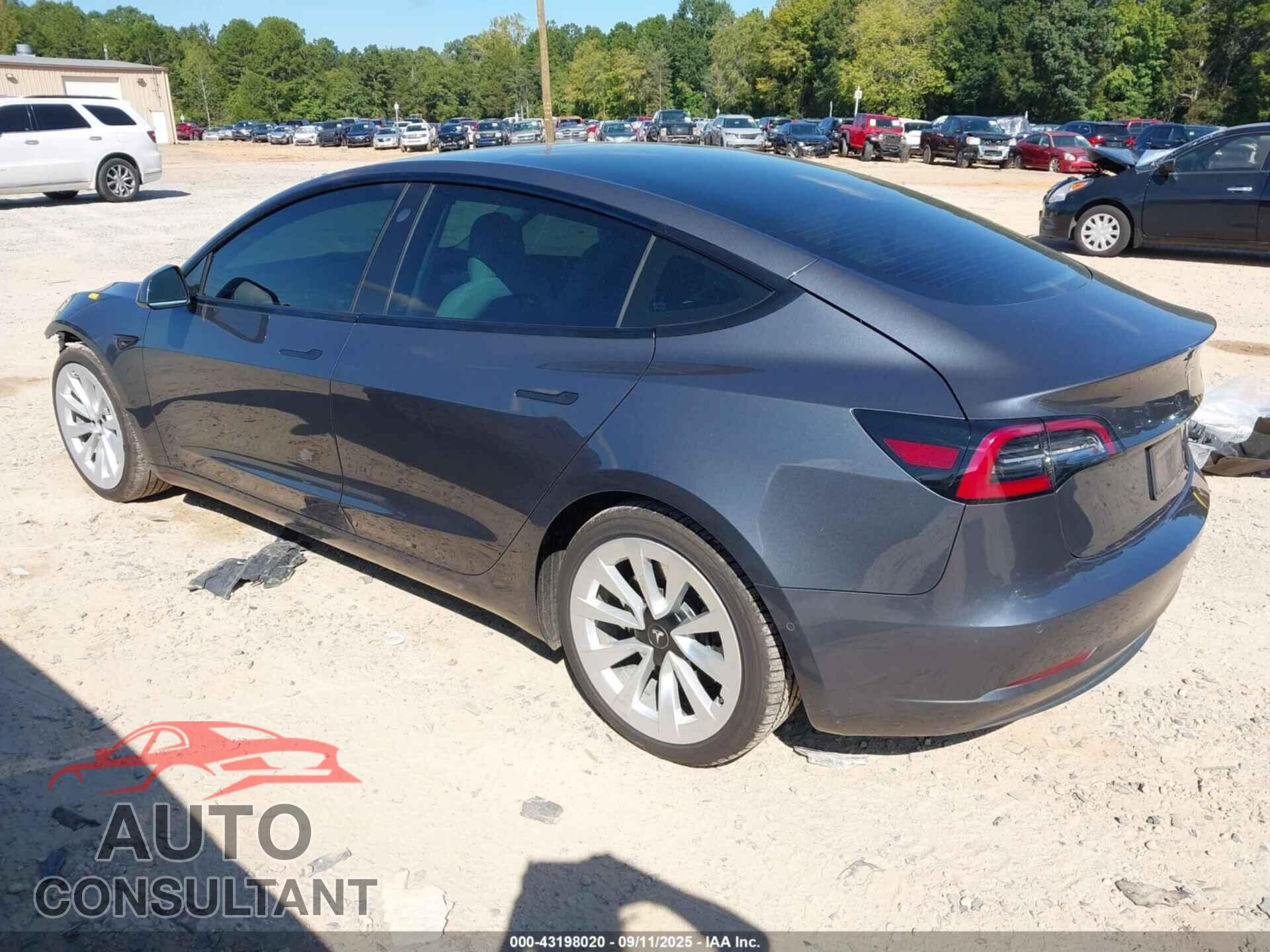 TESLA MODEL 3 2021 - 5YJ3E1EA1MF853844