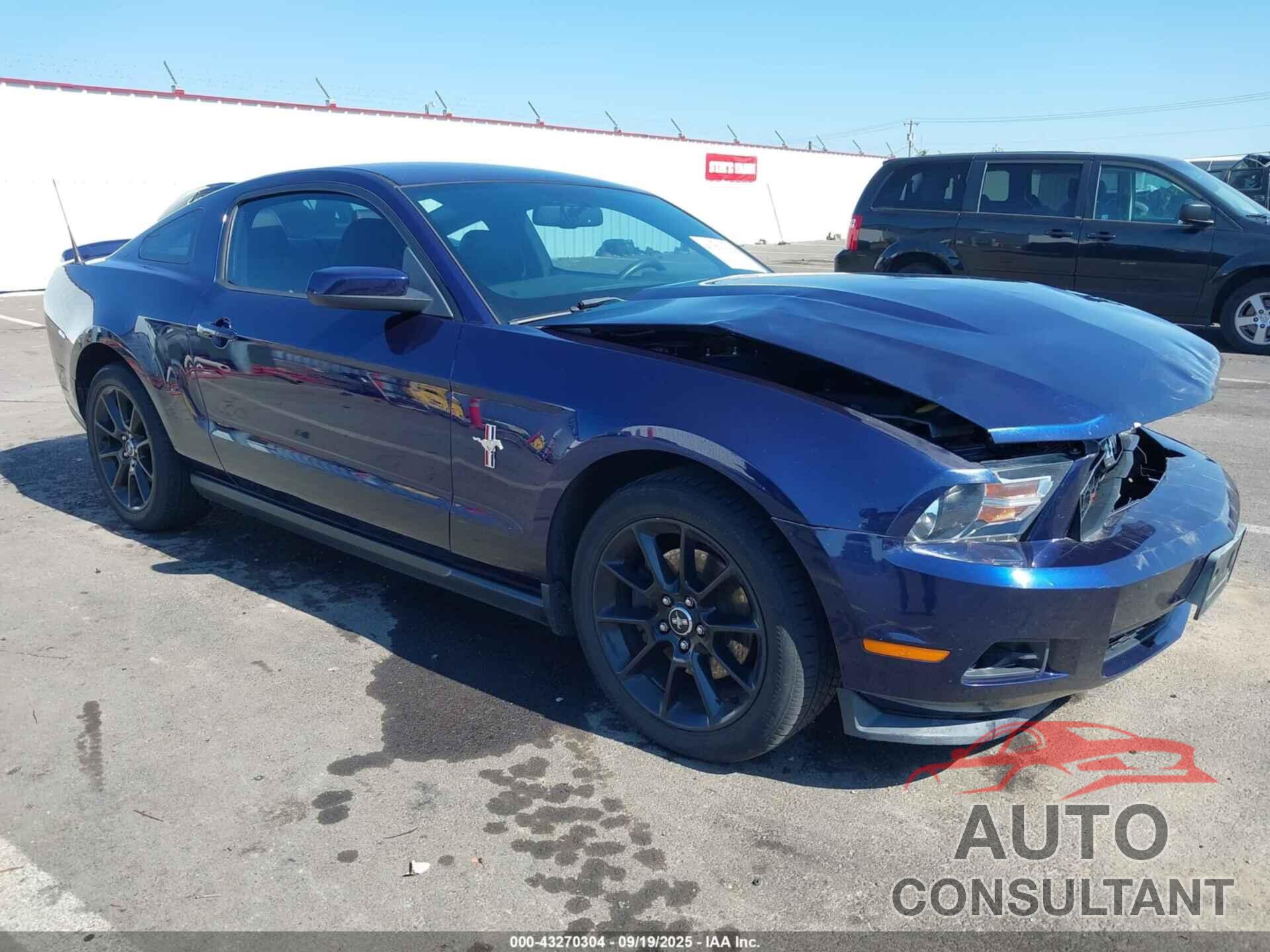FORD MUSTANG 2011 - 1ZVBP8AMXB5154075