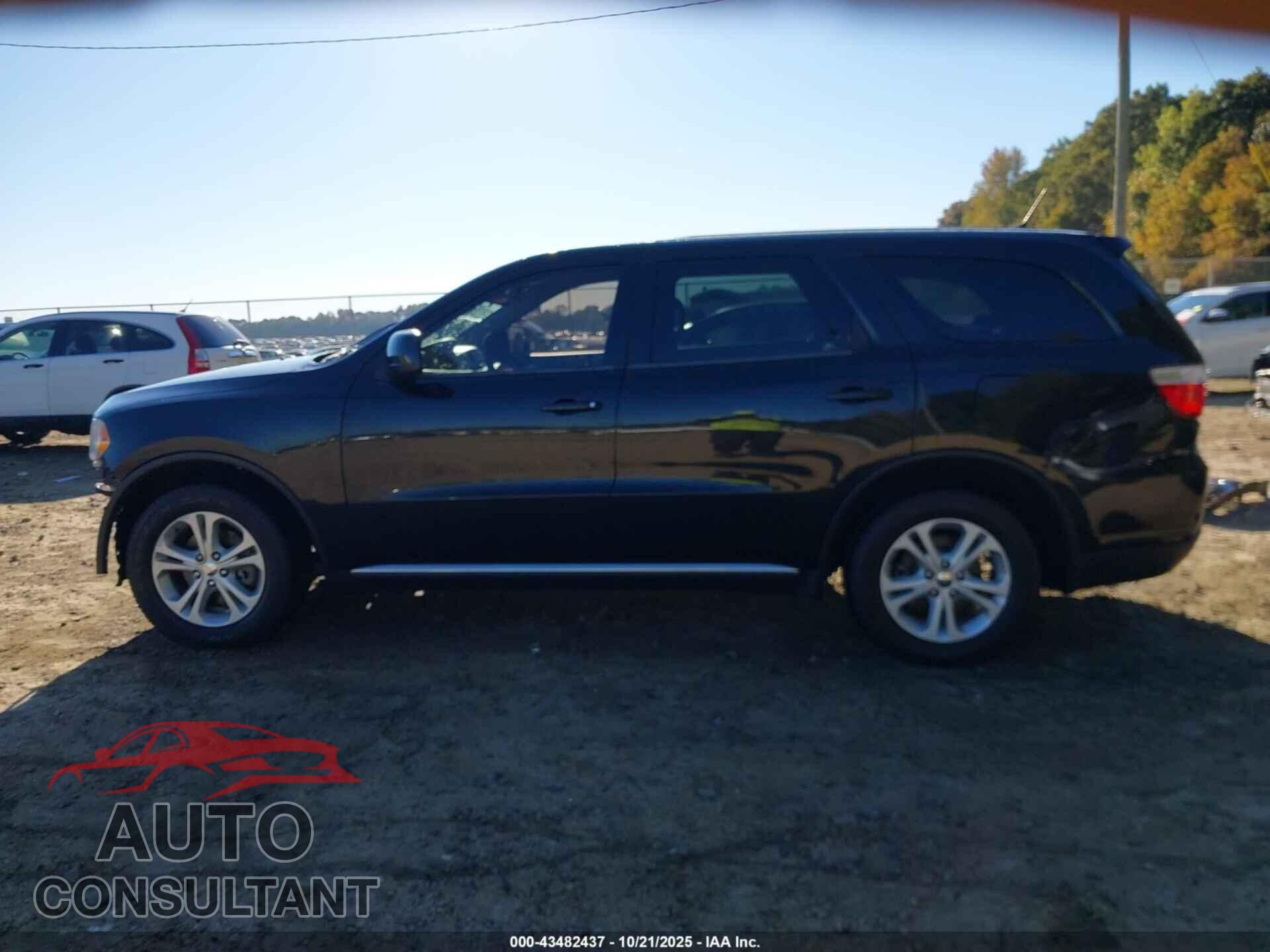 DODGE DURANGO 2013 - 1C4RDHAG3DC667851