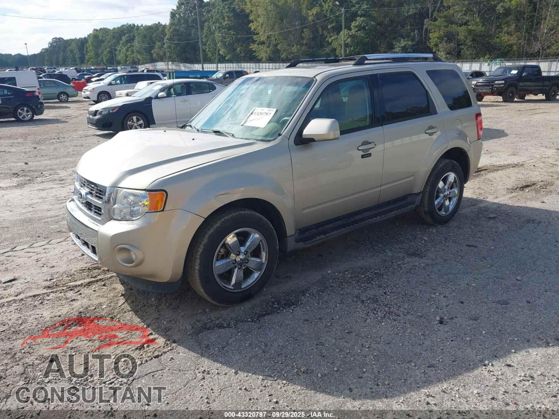 FORD ESCAPE 2011 - 1FMCU0EG3BKA41670