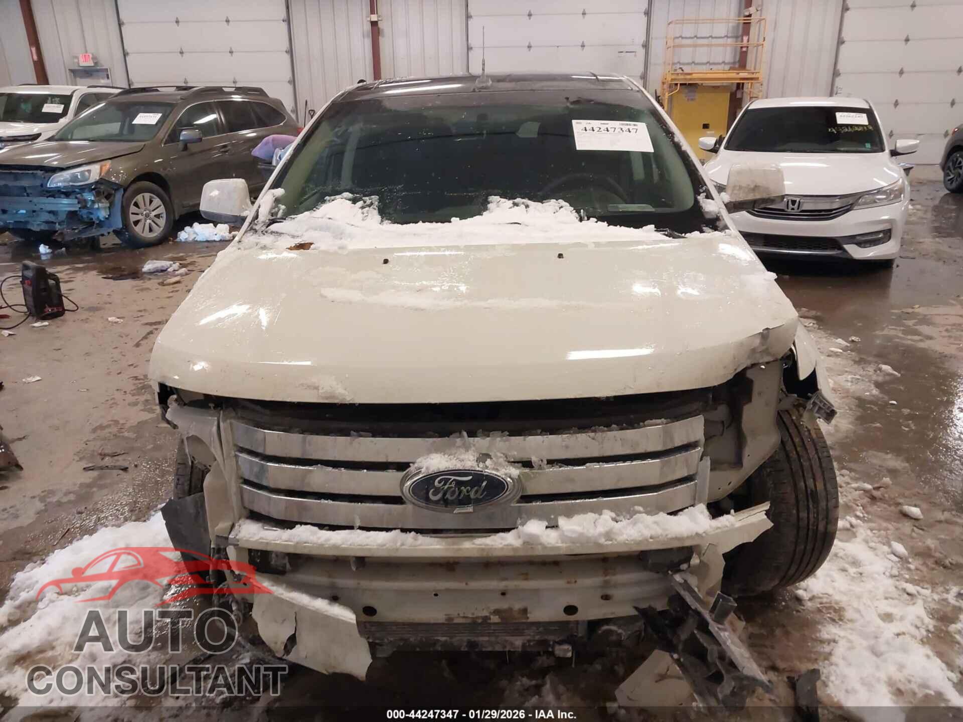 FORD EDGE 2009 - 2FMDK38C59BA56194