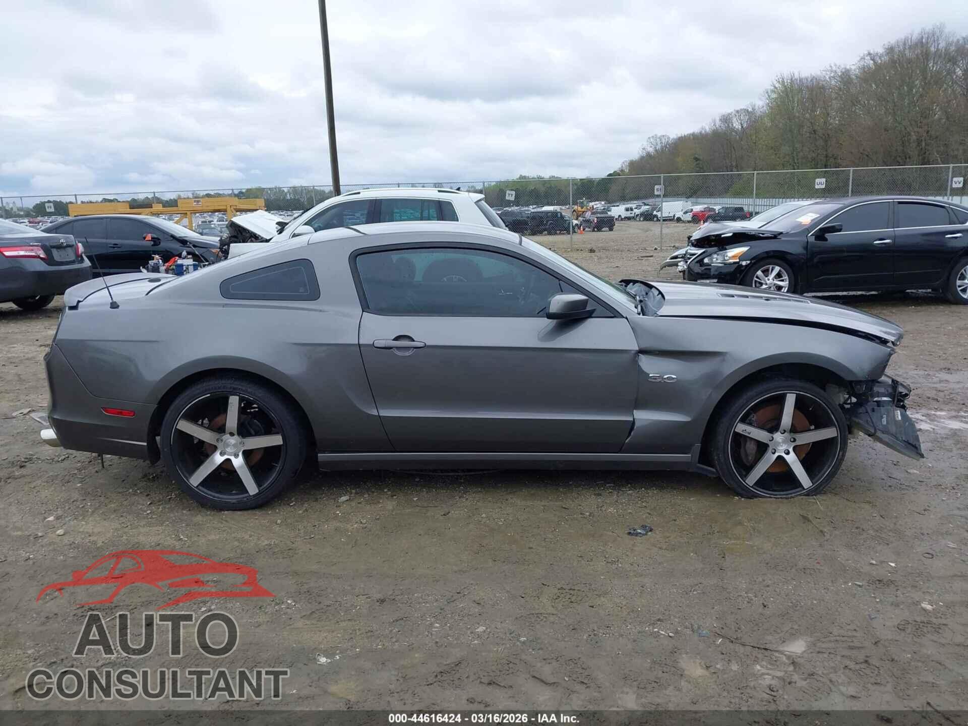 FORD MUSTANG 2013 - 1ZVBP8CF9D5229155