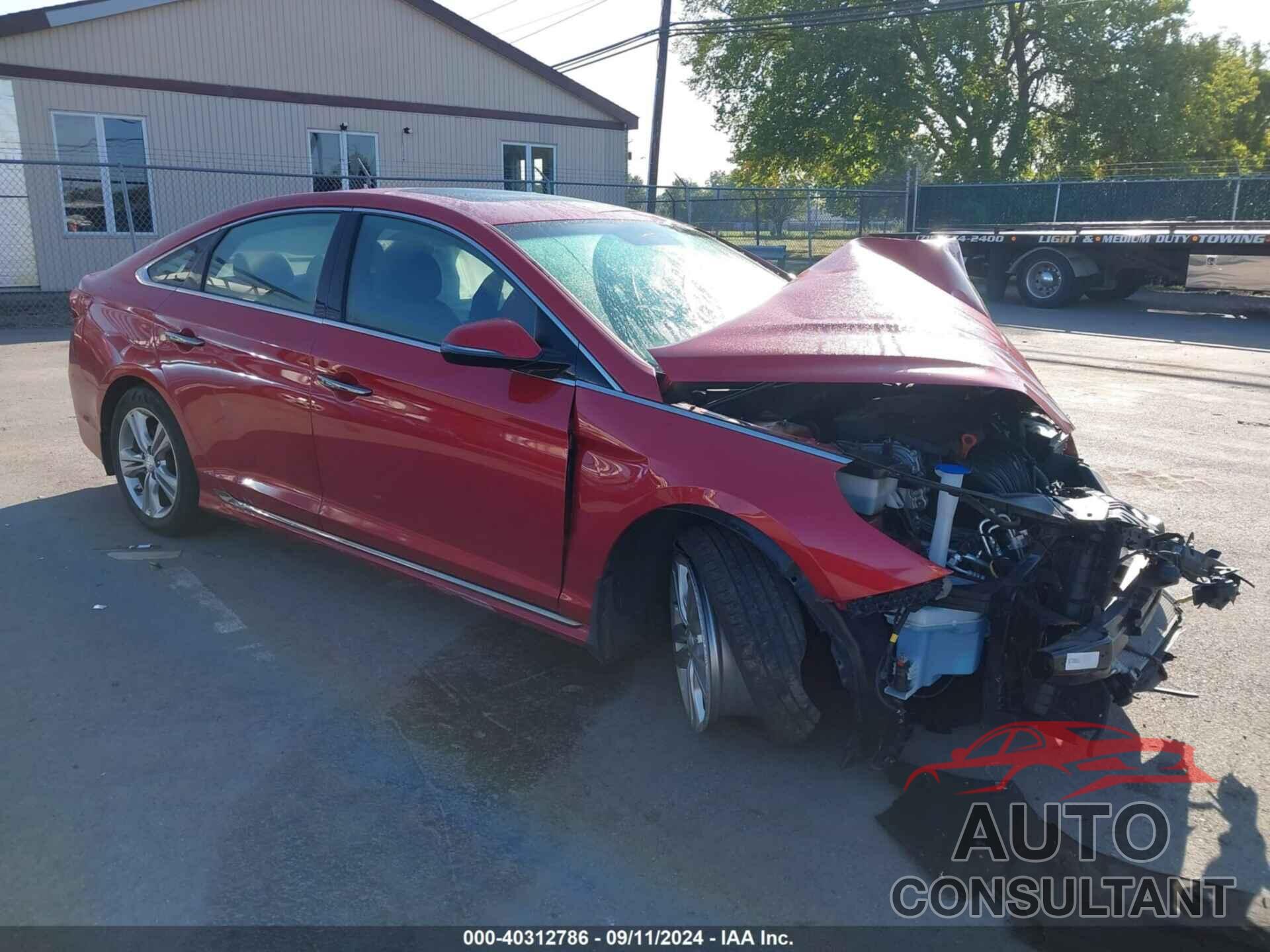 HYUNDAI SONATA 2019 - 5NPE34AF2KH790219