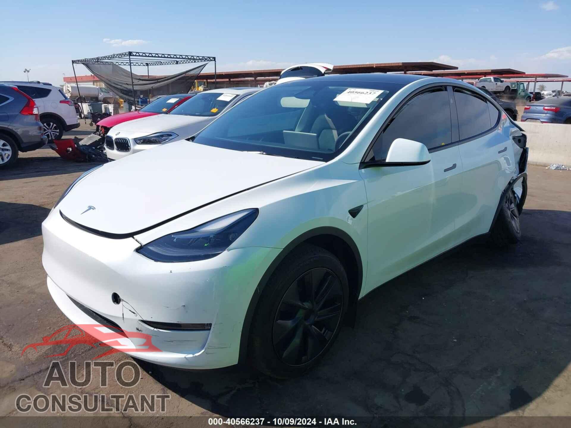 TESLA MODEL Y 2024 - 7SAYGDED1RF098104