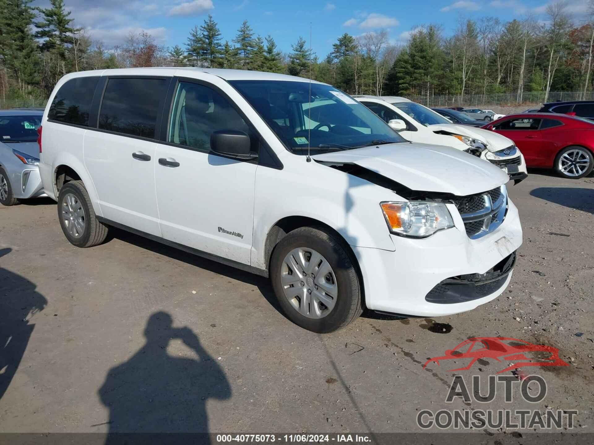 DODGE GRAND CARAVAN 2019 - 2C7WDGBG6KR795391