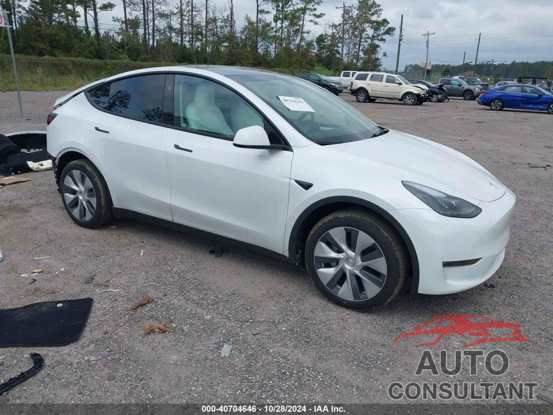 TESLA MODEL Y 2024 - 7SAYGDEEXRA269597