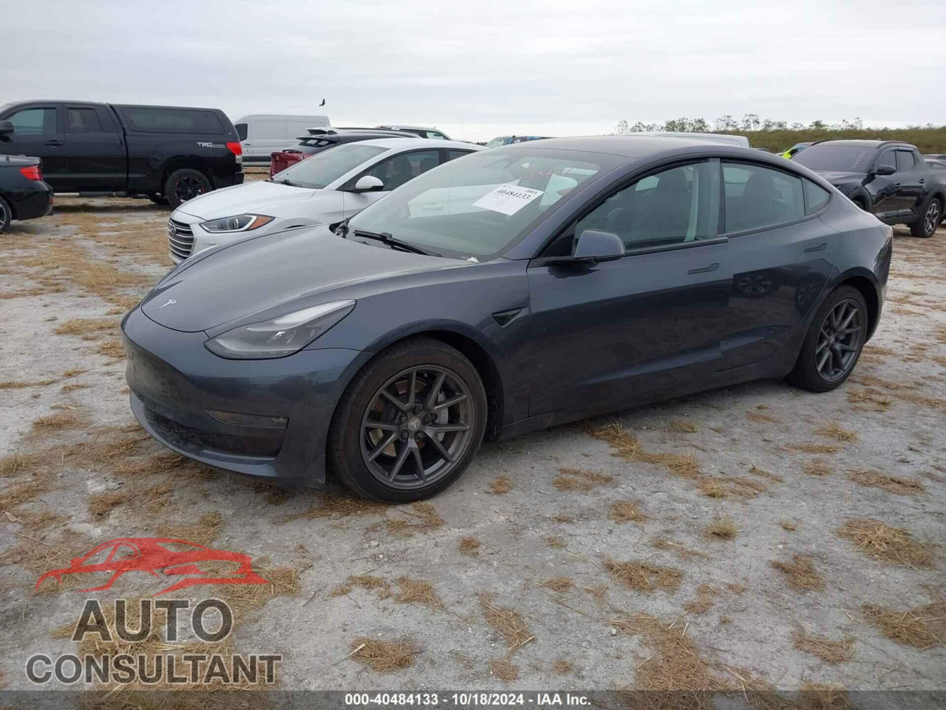 TESLA MODEL 3 2021 - 5YJ3E1EB5MF035641
