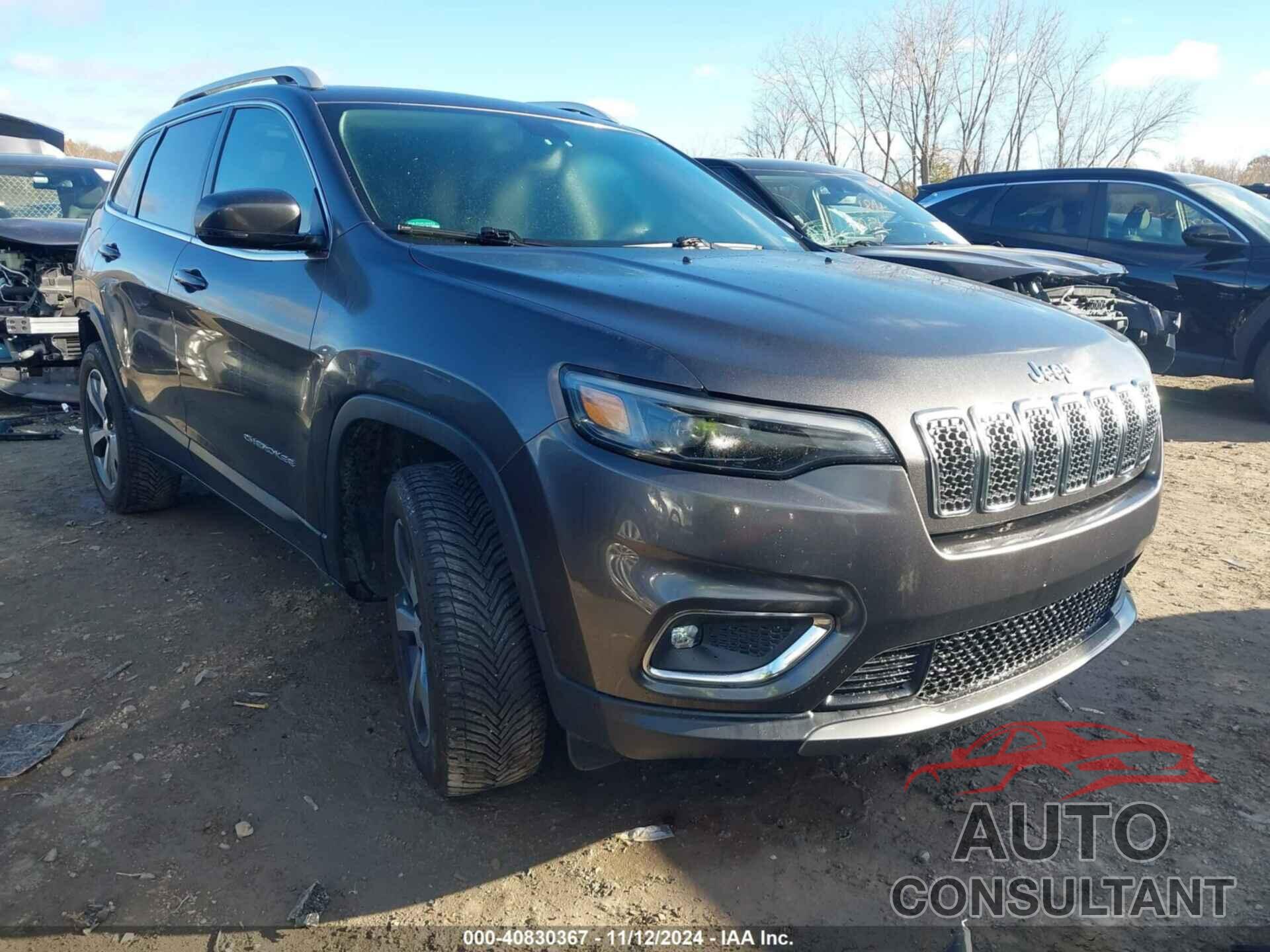 JEEP CHEROKEE 2019 - 1C4PJMDX9KD218007