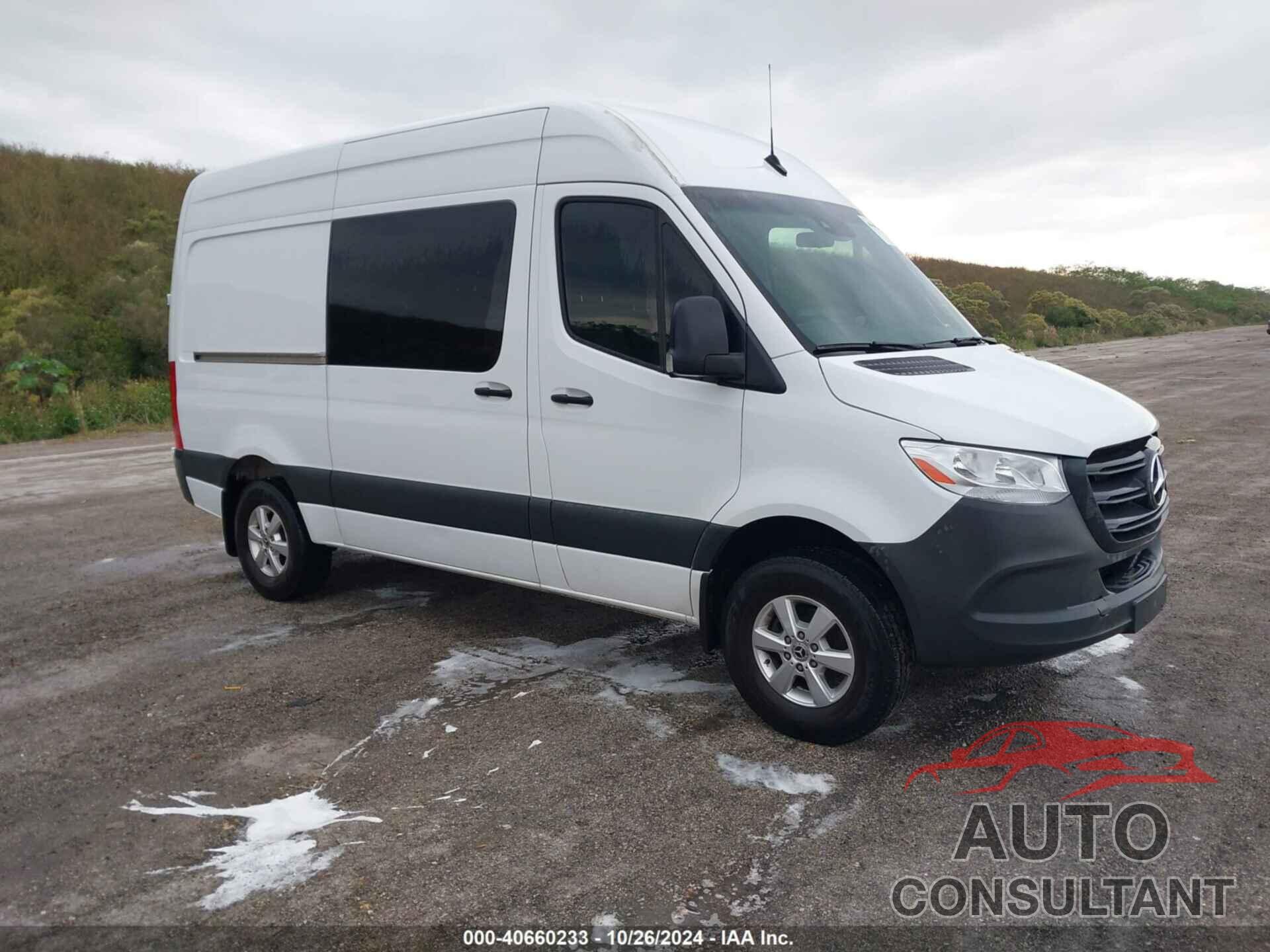 MERCEDES-BENZ SPRINTER 2500 2019 - WD4PF0CD2KP042004
