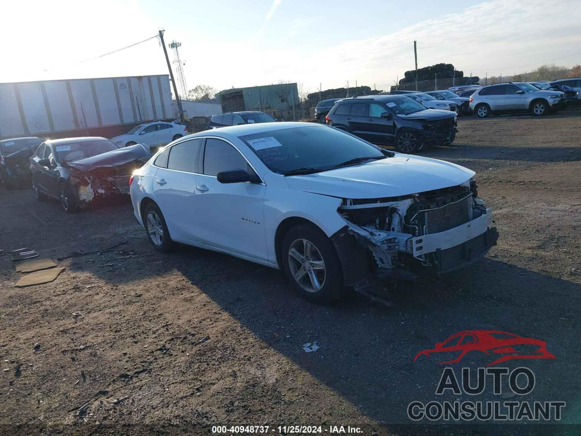 CHEVROLET MALIBU 2019 - 1G1ZB5ST2KF125452