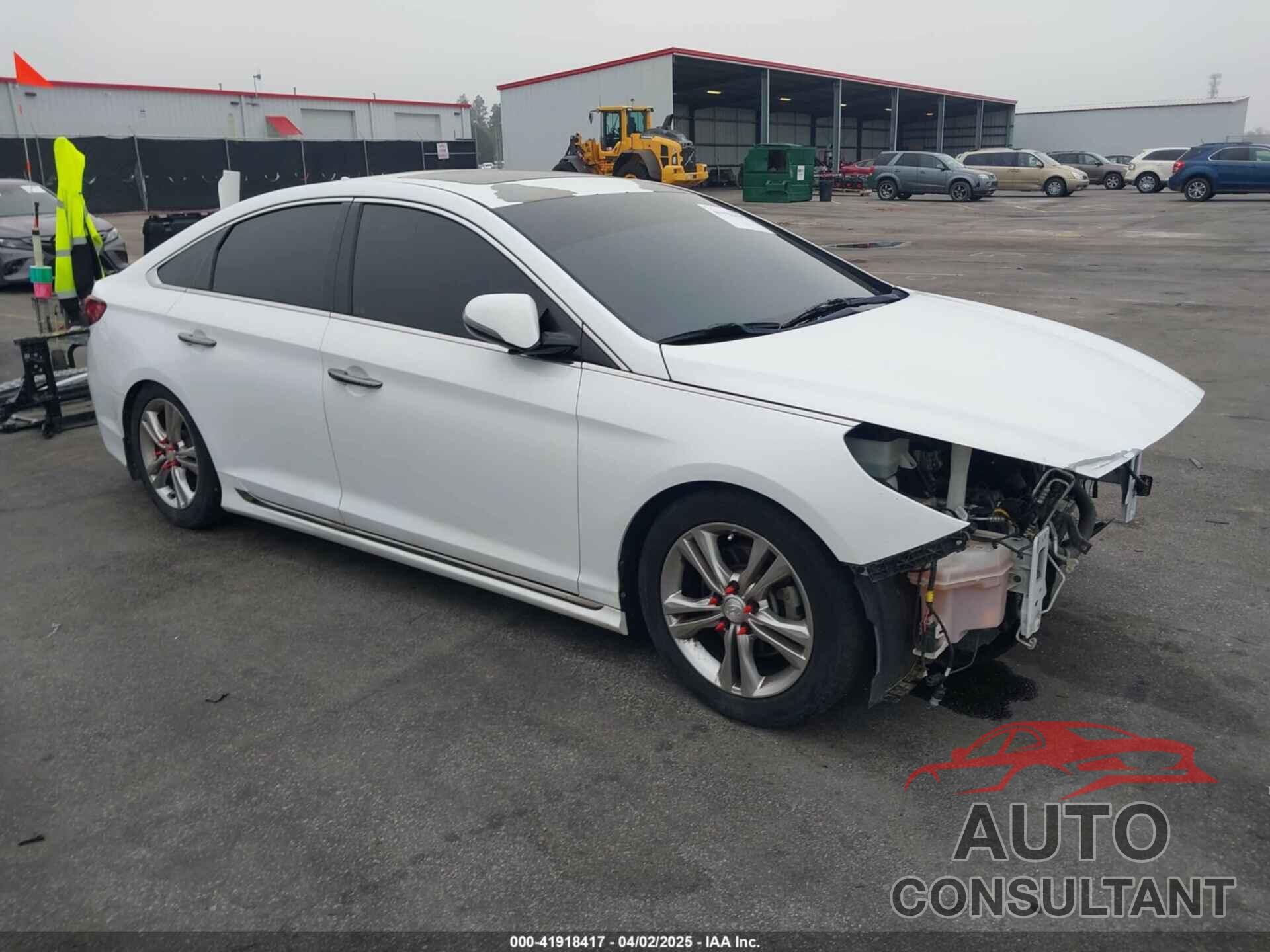 HYUNDAI SONATA 2019 - 5NPE34AF3KH732362