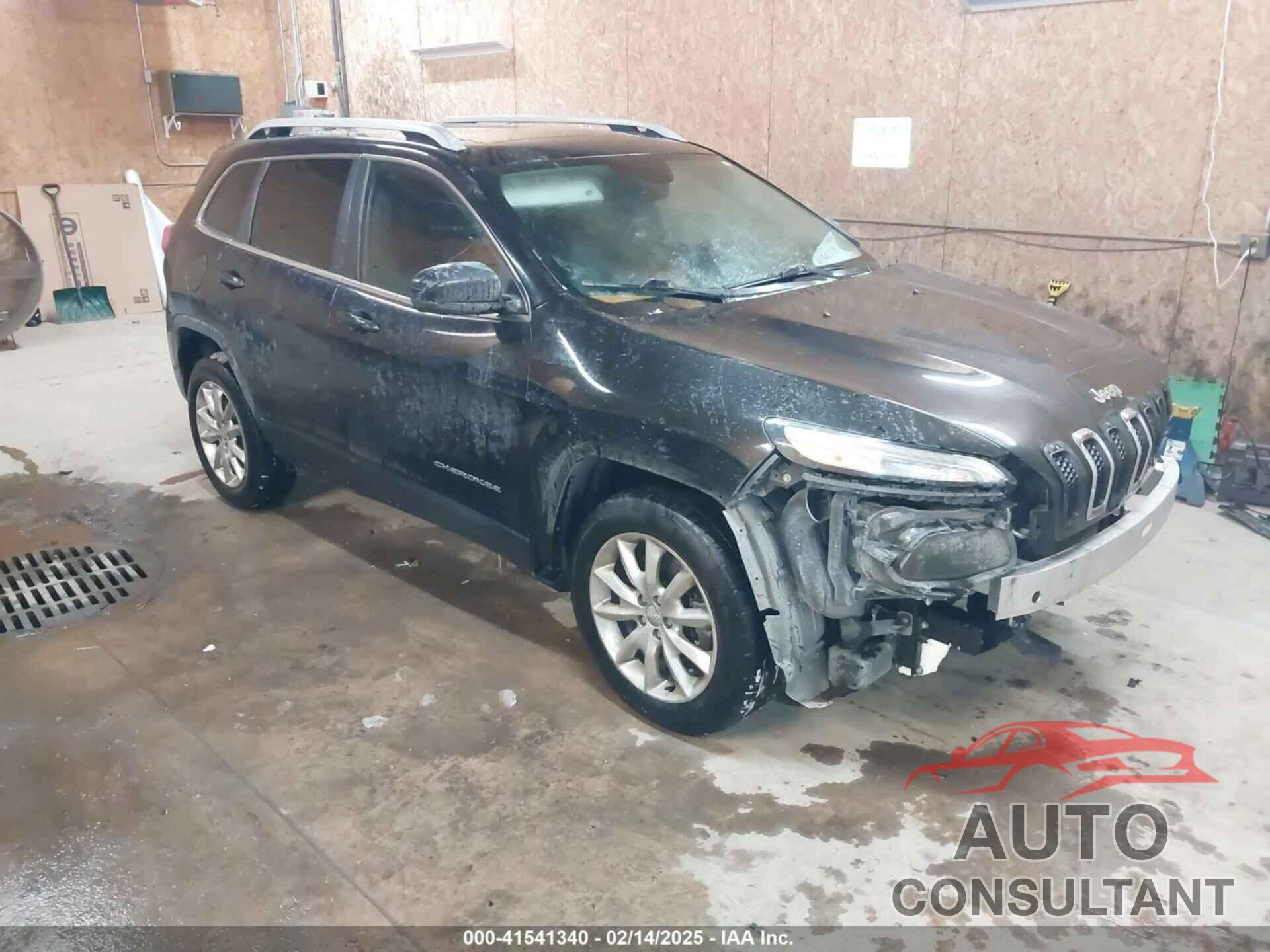 JEEP CHEROKEE 2014 - 1C4PJMDS0EW240958