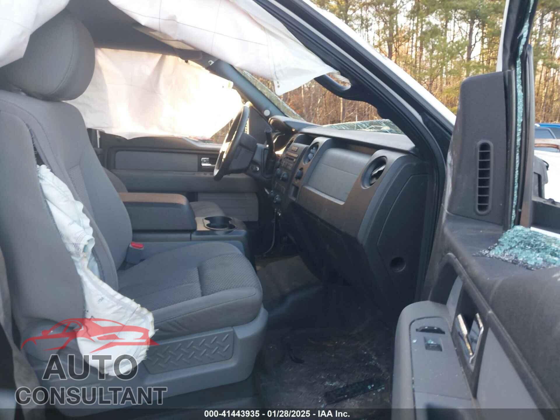 FORD F-150 2014 - 1FTFX1EF0EFA23615