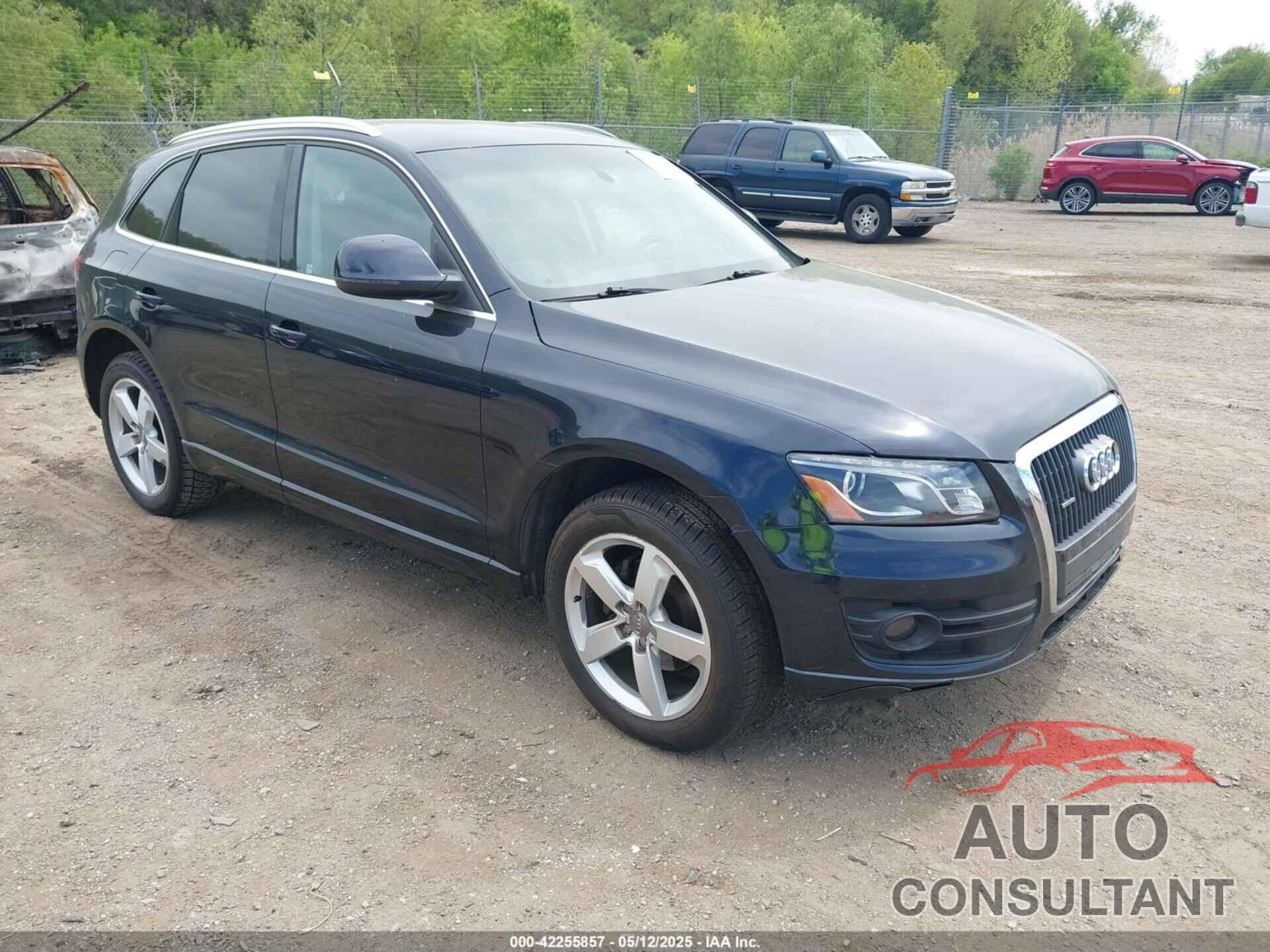 AUDI Q5 2011 - WA1LFAFP2BA021249